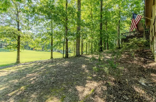 an aerial view of residential houses with outdoor space and trees