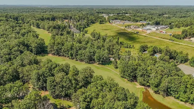a view of a forest with a lake