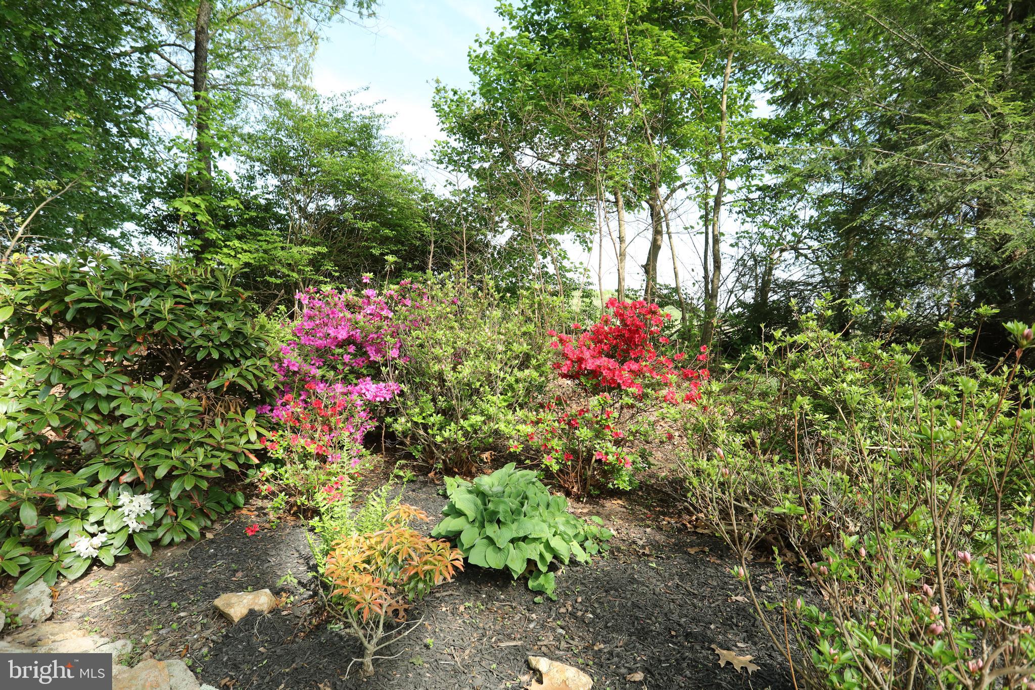 3045 Steltz Road New Freedom, PA 17349 - Photo 50 of 55 Gallery Image 50