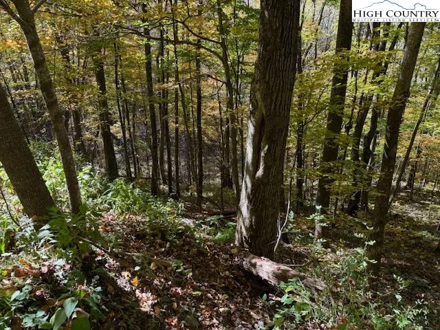 a view of outdoor space and green space