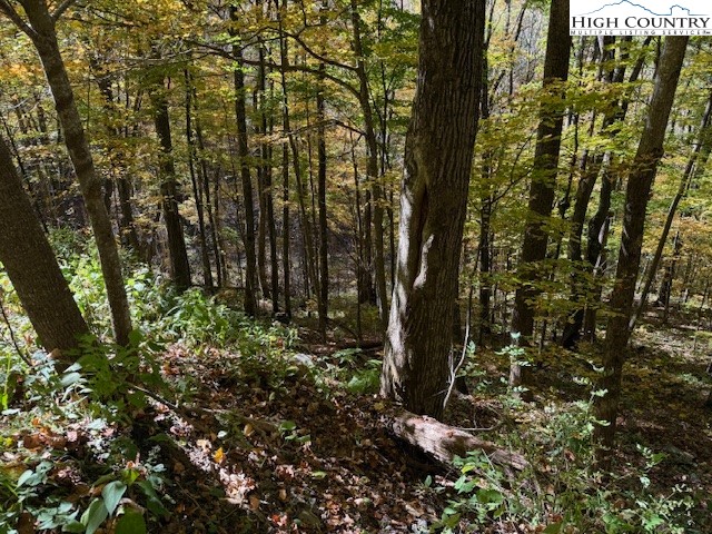 Lot 677 Three Top Trailhead Acc Road Creston, NC 28615 - Photo 4 of 6