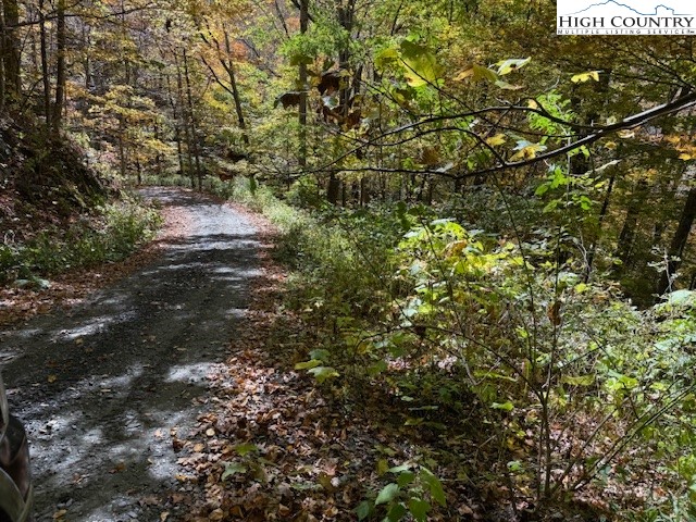 Lot 677 Three Top Trailhead Acc Road Creston, NC 28615 - Photo 5 of 6