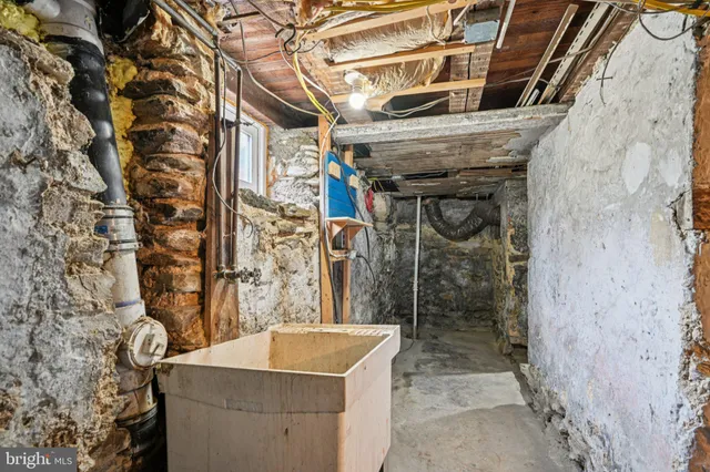a backyard of a house with large trees and plants