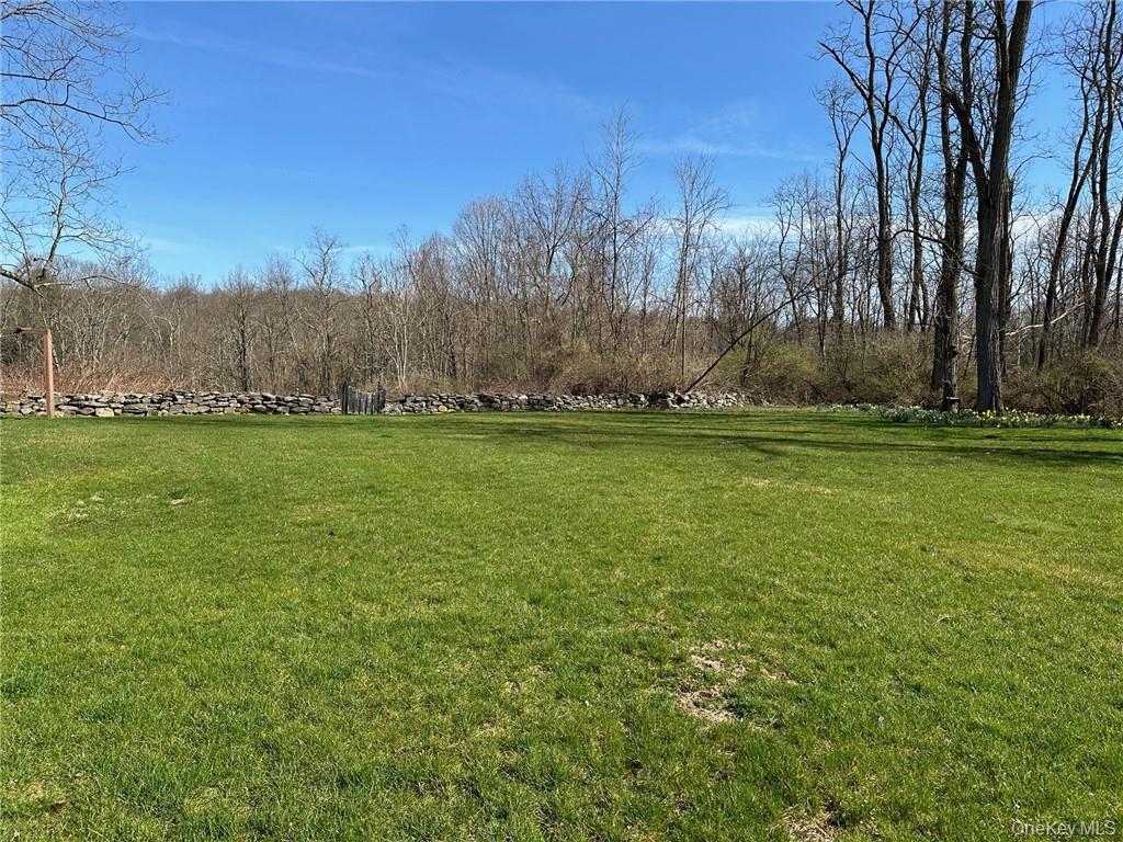 477 Canoe Hill Road Millbrook, NY 12545 - Photo 4 of 11 View of yard