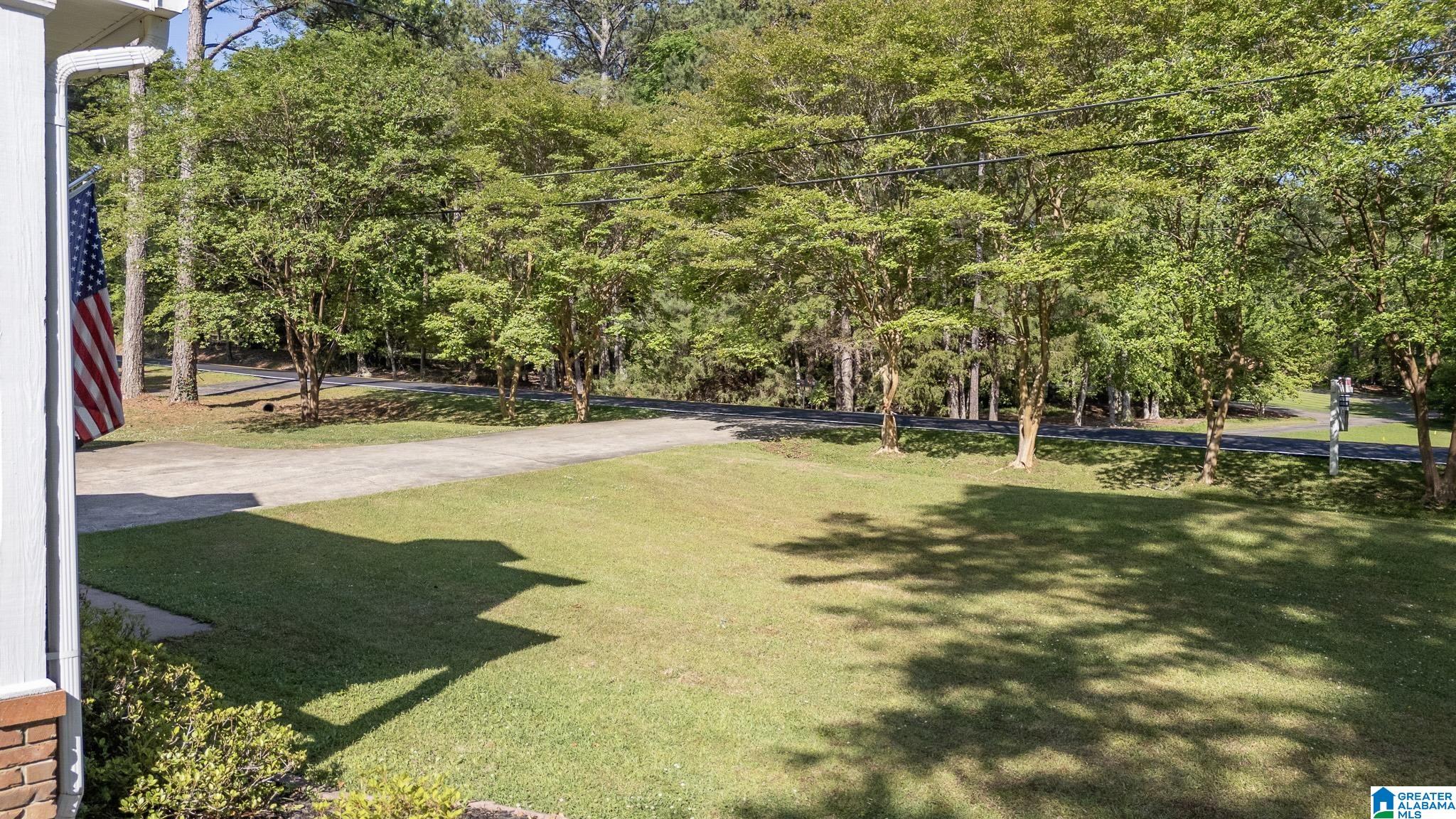 5306 Lee Road Pell City, AL 35128 - Photo 4 of 52