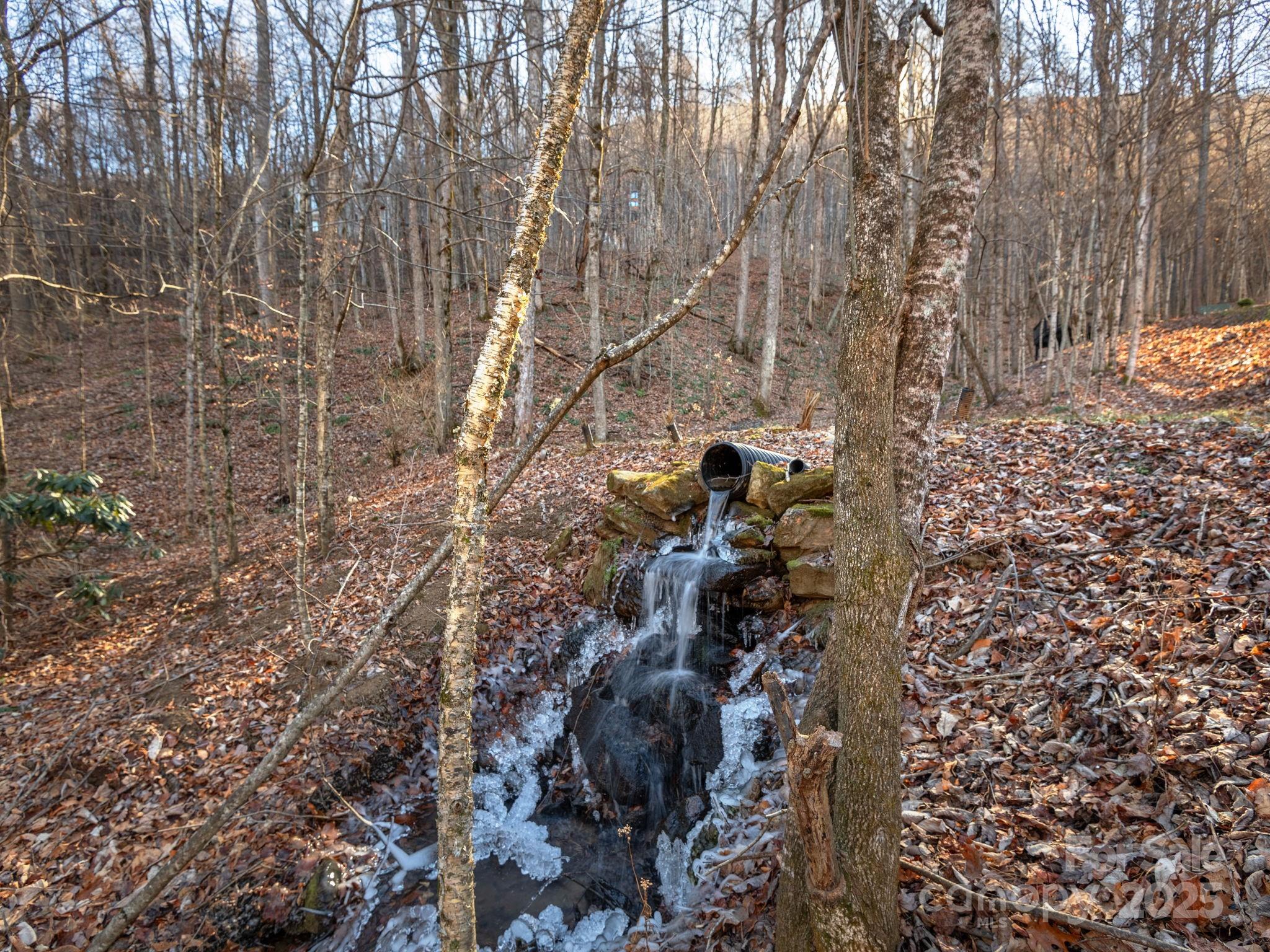 1591 Chestnut Flats Road Waynesville, NC 28786 - Photo 2 of 40 a view of house with yard