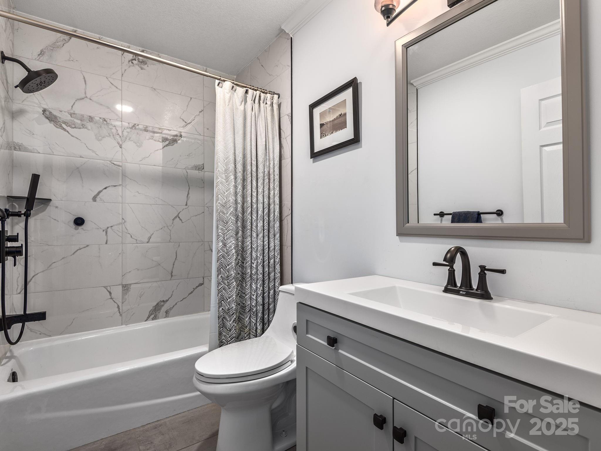 1591 Chestnut Flats Road Waynesville, NC 28786 - Photo 23 of 40 a bathroom with a sink a toilet and a bathtub