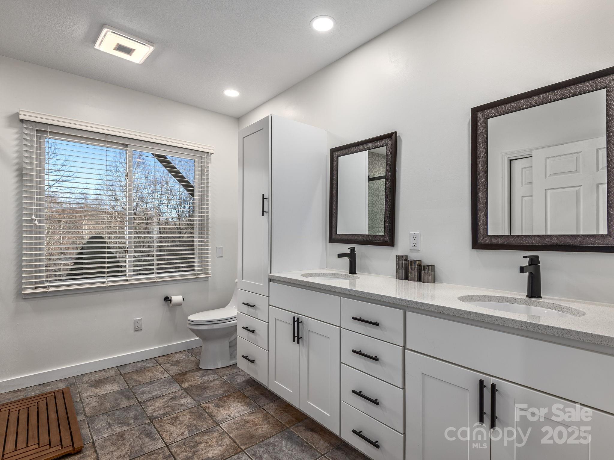 1591 Chestnut Flats Road Waynesville, NC 28786 - Photo 30 of 40 a bathroom with a toilet a sink a mirror a window and vanity