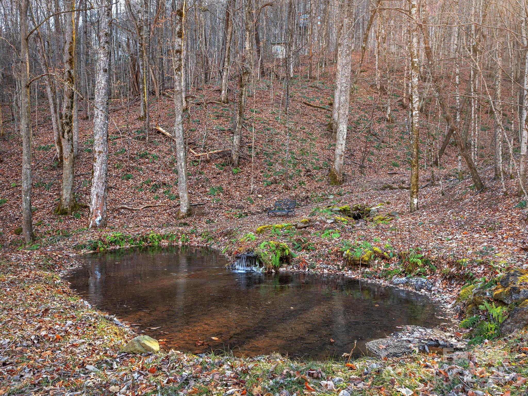 1591 Chestnut Flats Road Waynesville, NC 28786 - Photo 3 of 40
