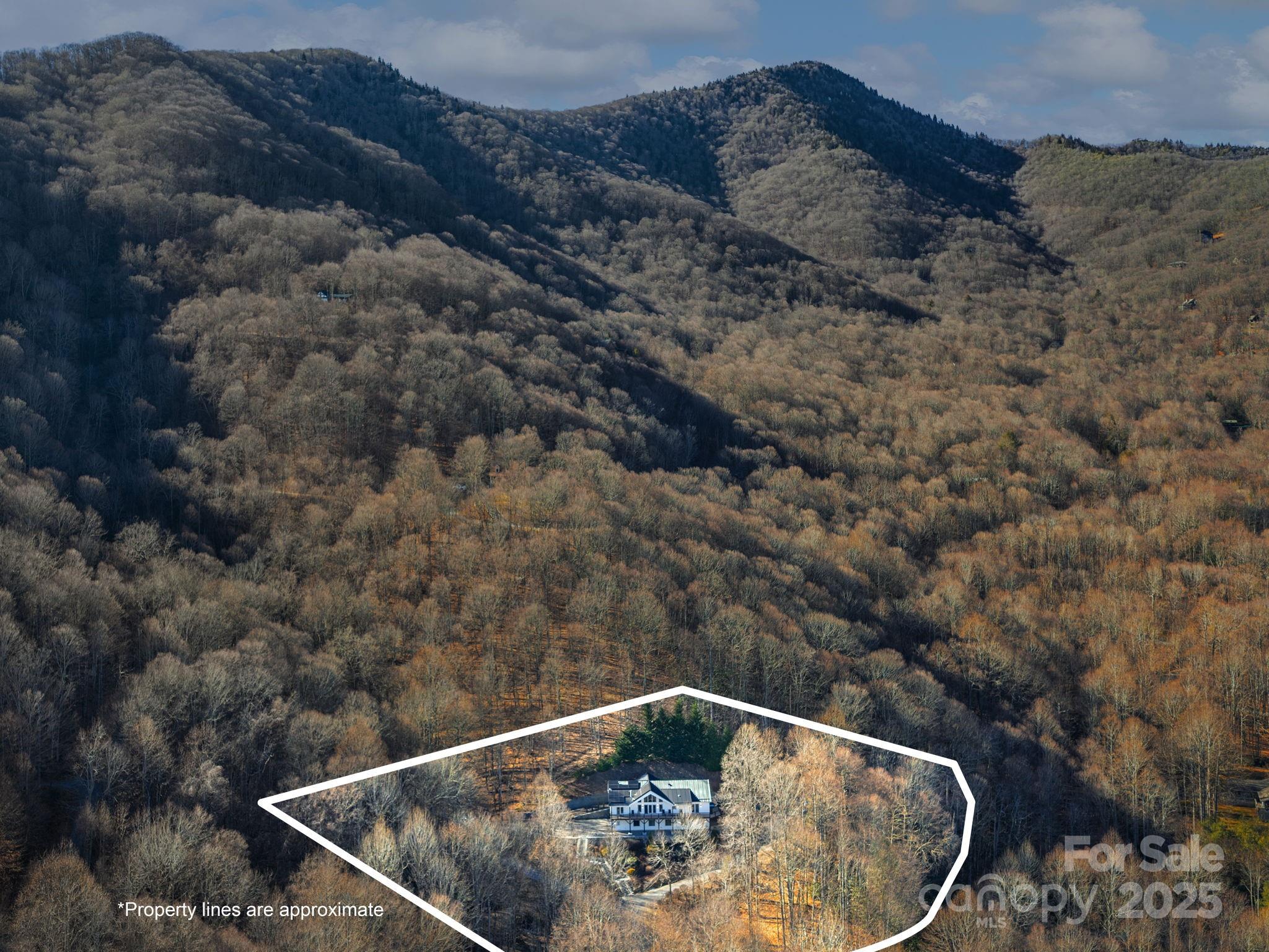 1591 Chestnut Flats Road Waynesville, NC 28786 - Photo 39 of 40 a view of barbeque and outdoor space