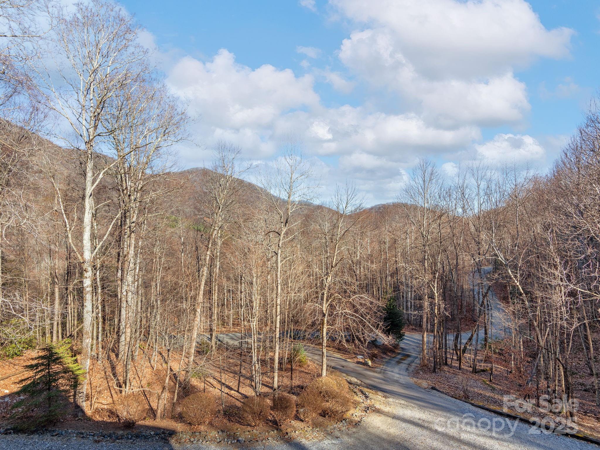 1591 Chestnut Flats Road Waynesville, NC 28786 - Photo 5 of 40 a view of a yard with wooden fence