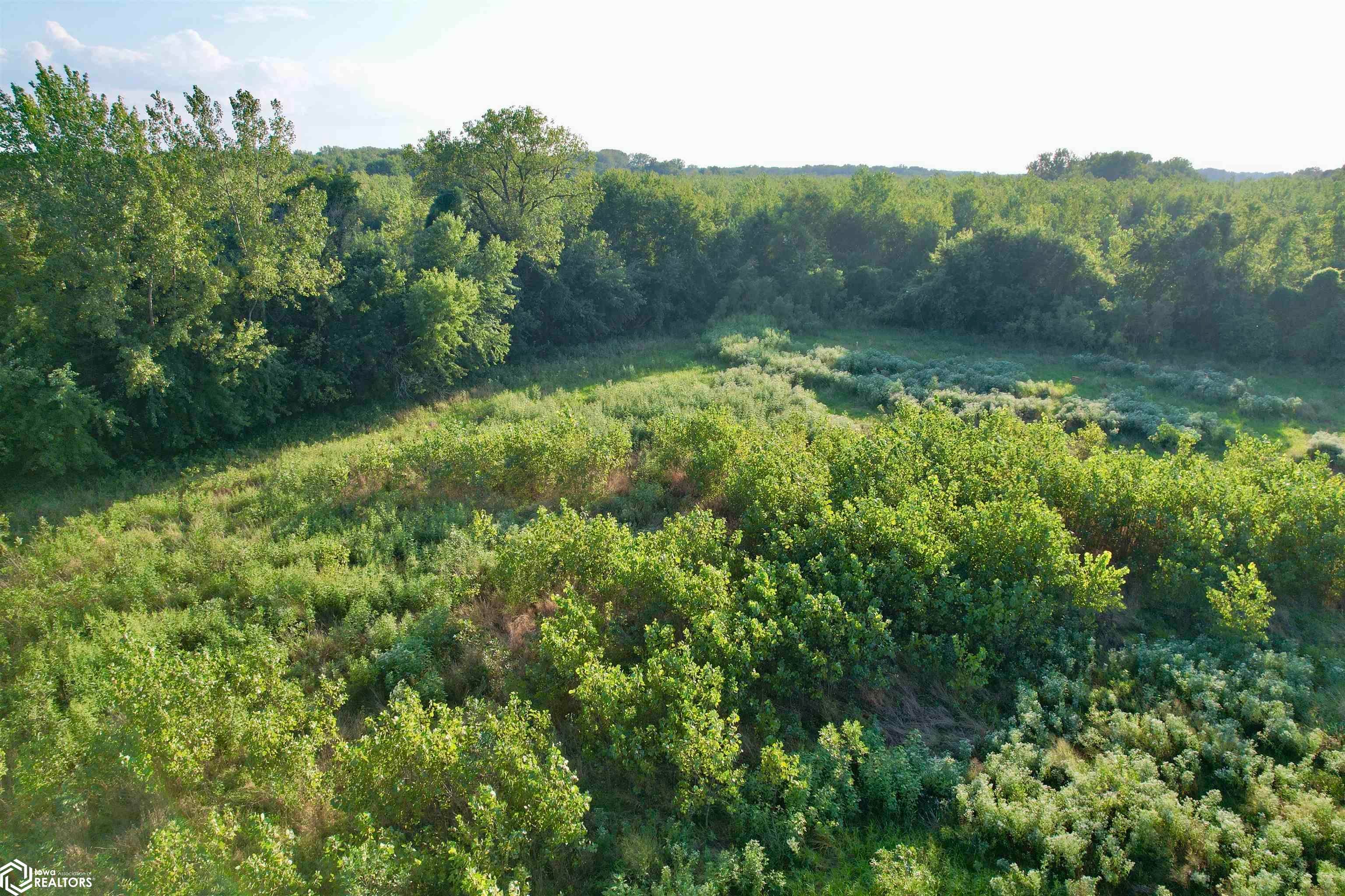 0 Valley Road Keokuk, IA 52632 - Photo 8 of 15 Gallery Image 8