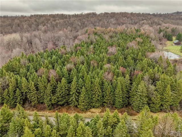 $64,900 | Cogar Drive, Schuyler, NY 13340