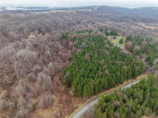 $64,900 | Cogar Drive, Schuyler, NY 13340