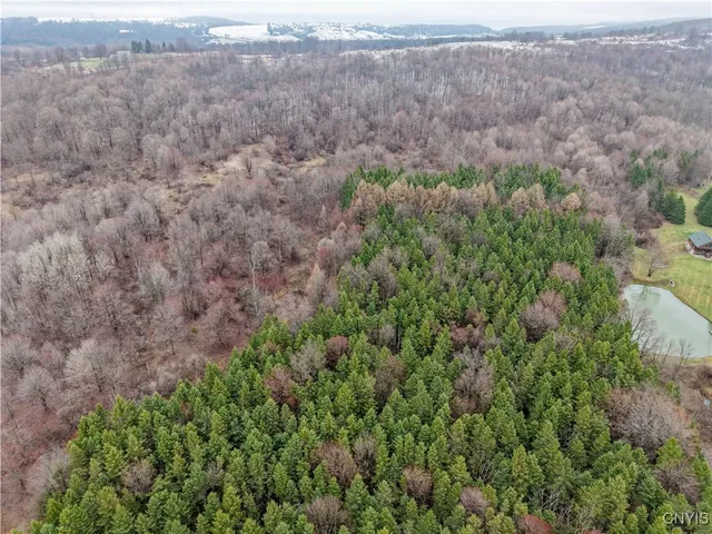 $64,900 | Cogar Drive, Schuyler, NY 13340