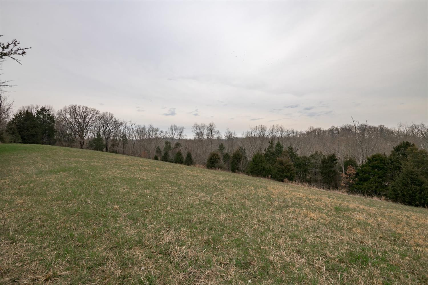 1255 Corinth Road Lawrenceburg, KY 40342 - Photo 29 of 38 Photo 29