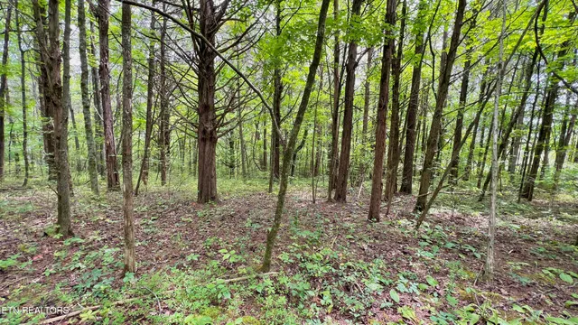 $289,900 | Lot 7 Rodgers Road, Corryton, TN 37721
