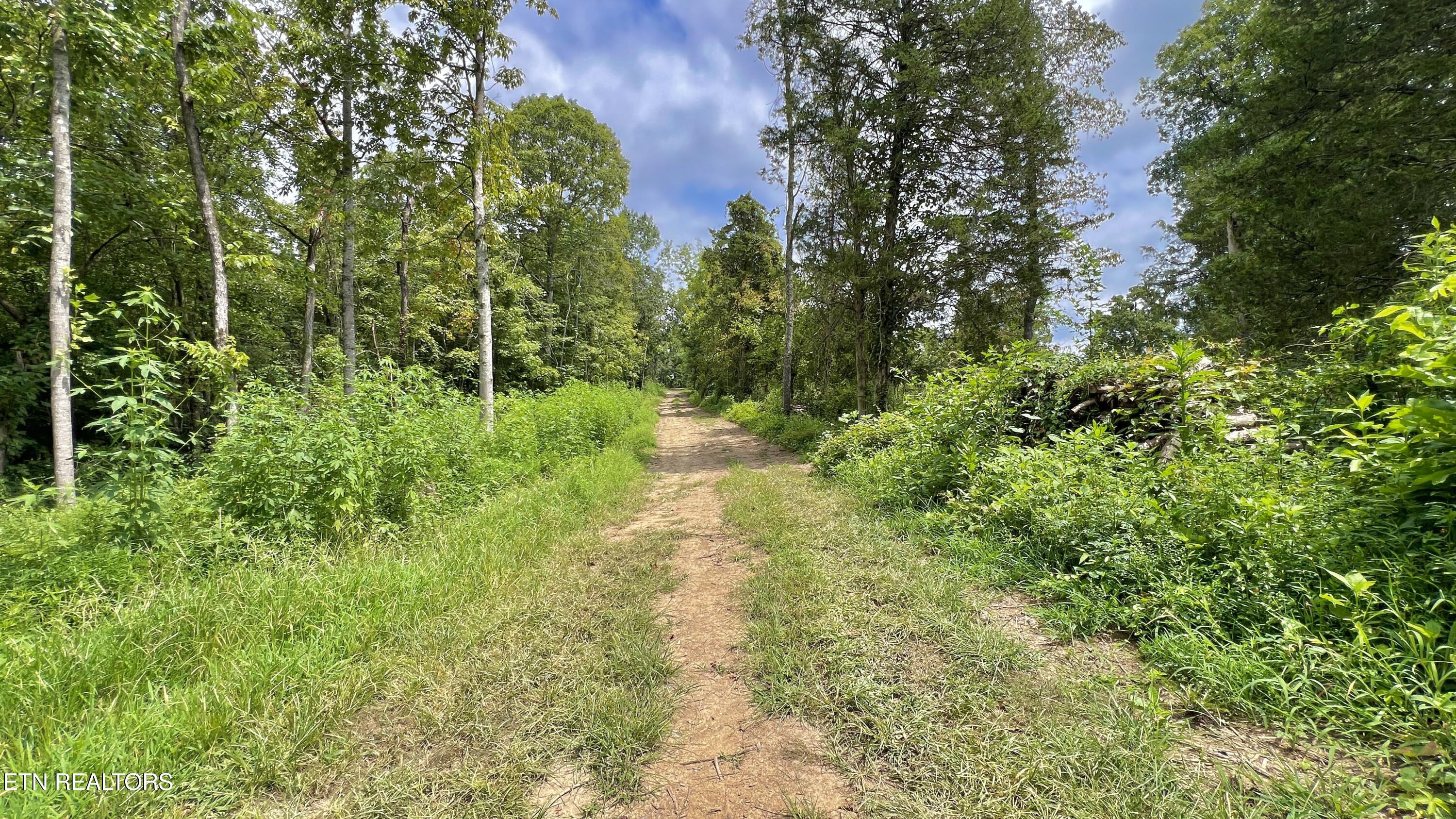 Lot 7 Rodgers Road Corryton, TN 37721 - Photo 13 of 13 Lot 7 Rodgers Rd, Corryton, TN 37721