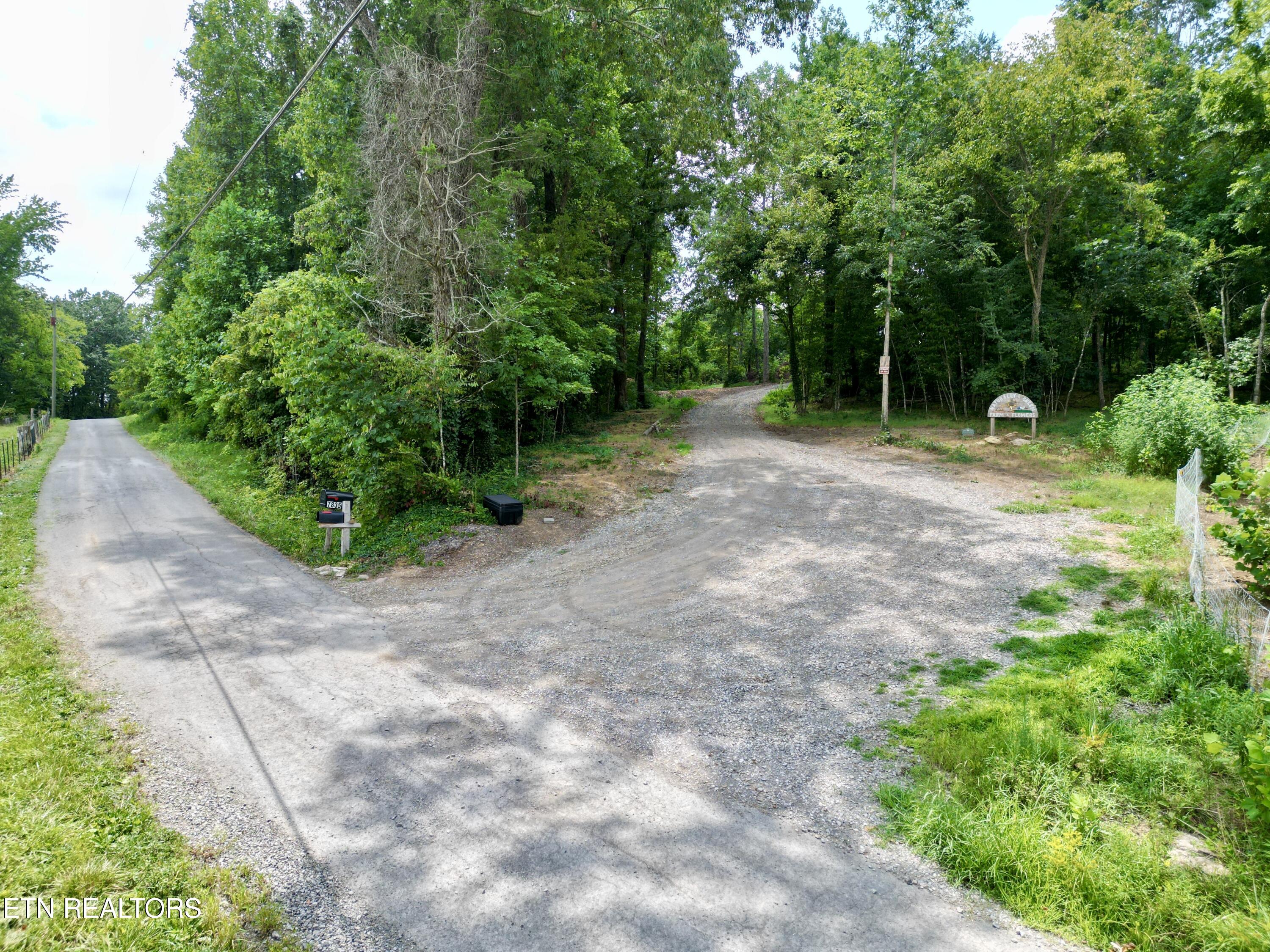 Lot 7 Rodgers Road Corryton, TN 37721 - Photo 5 of 13 Lot 7 Rodgers Rd, Corryton, TN 37721