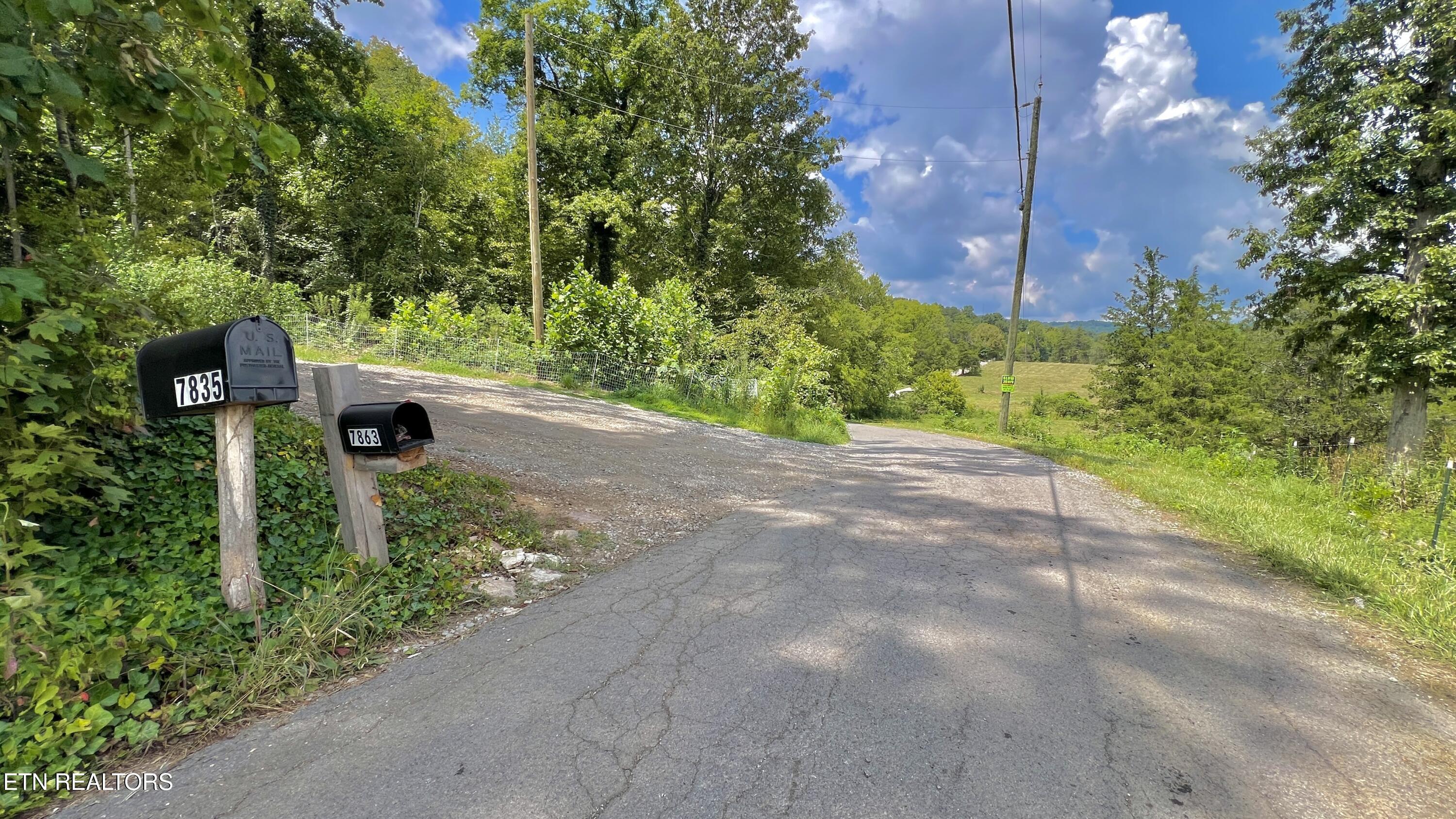 Lot 7 Rodgers Road Corryton, TN 37721 - Photo 6 of 13 Lot 7 Rodgers Rd, Corryton, TN 37721