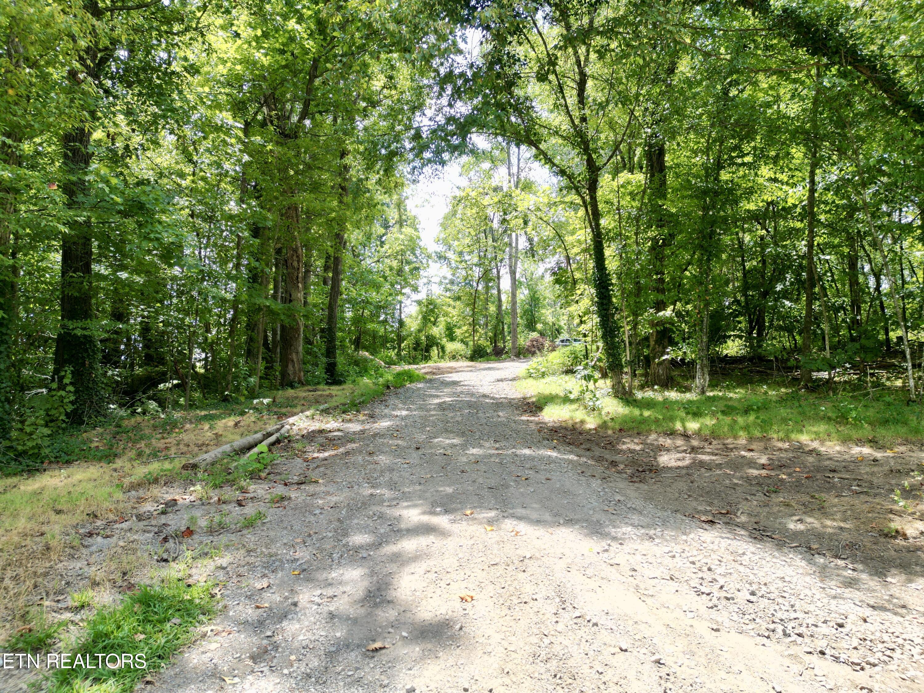 Lot 7 Rodgers Road Corryton, TN 37721 - Photo 7 of 13 Lot 7 Rodgers Rd, Corryton, TN 37721