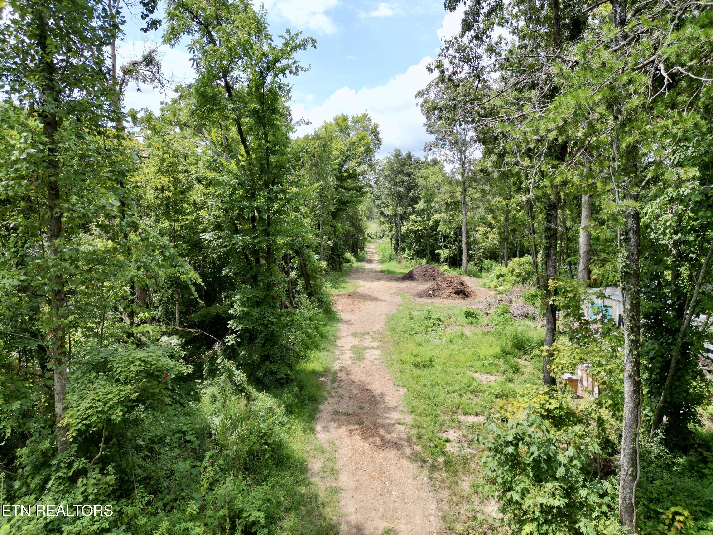 Lot 7 Rodgers Road Corryton, TN 37721 - Photo 8 of 13 Lot 7 Rodgers Rd, Corryton, TN 37721