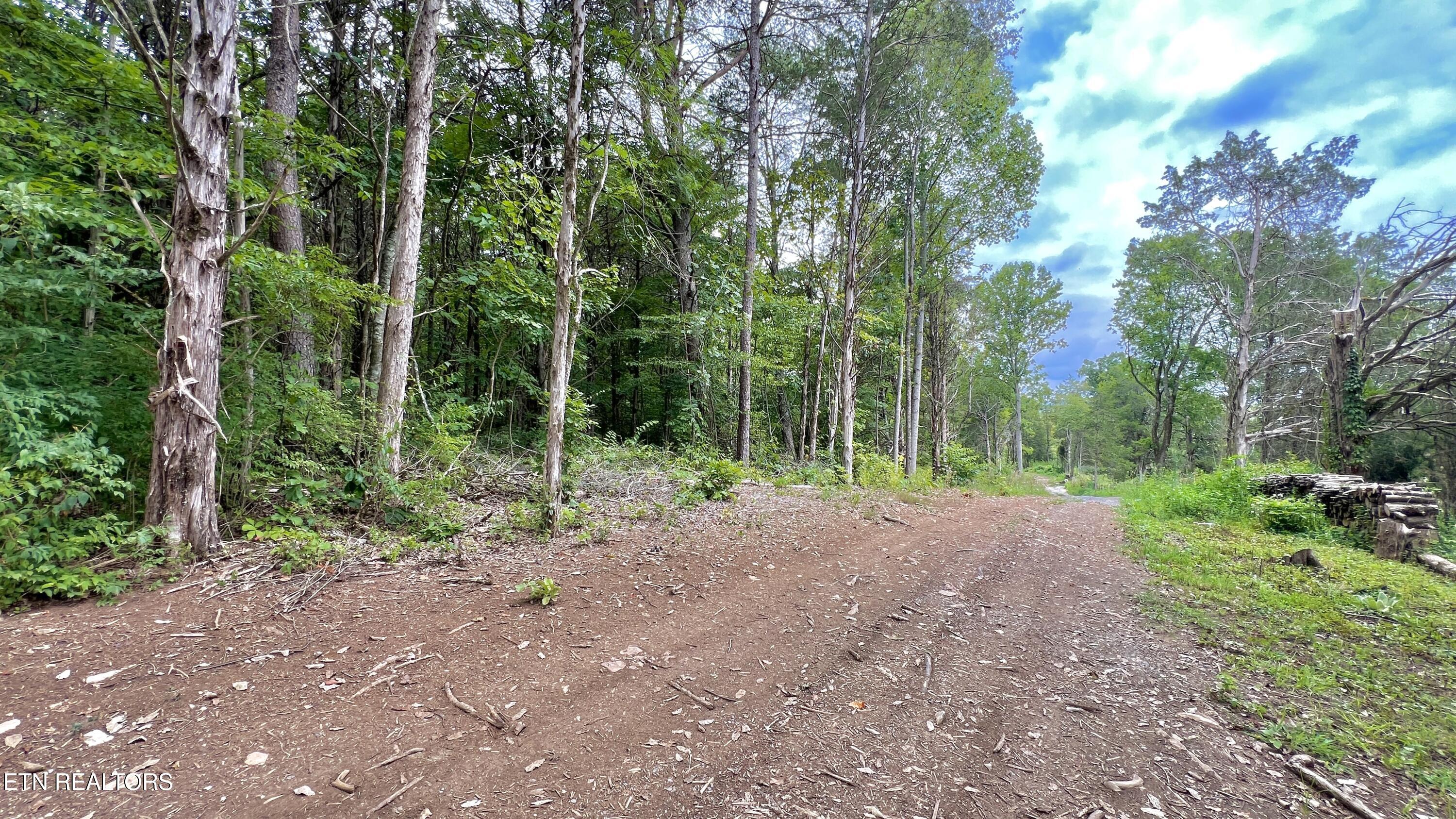 Lot 7 Rodgers Road Corryton, TN 37721 - Photo 9 of 13 Lot 7 Rodgers Rd, Corryton, TN 37721