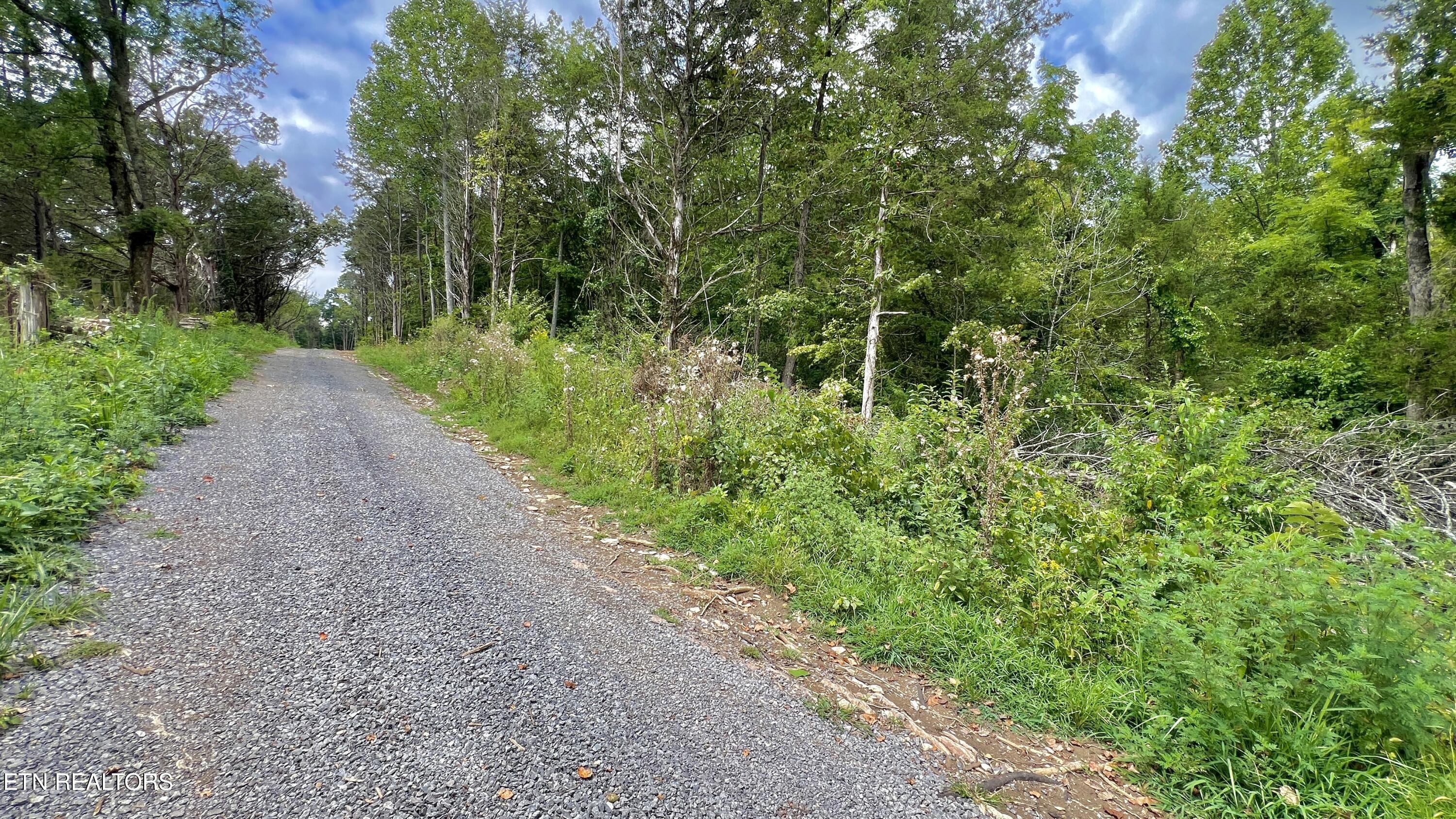 Lot 7 Rodgers Road Corryton, TN 37721 - Photo 10 of 13 Lot 7 Rodgers Rd, Corryton, TN 37721