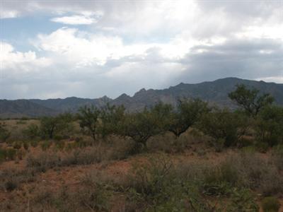 0 Oberlon Road Cochise, AZ 85606 - Photo 4 of 5