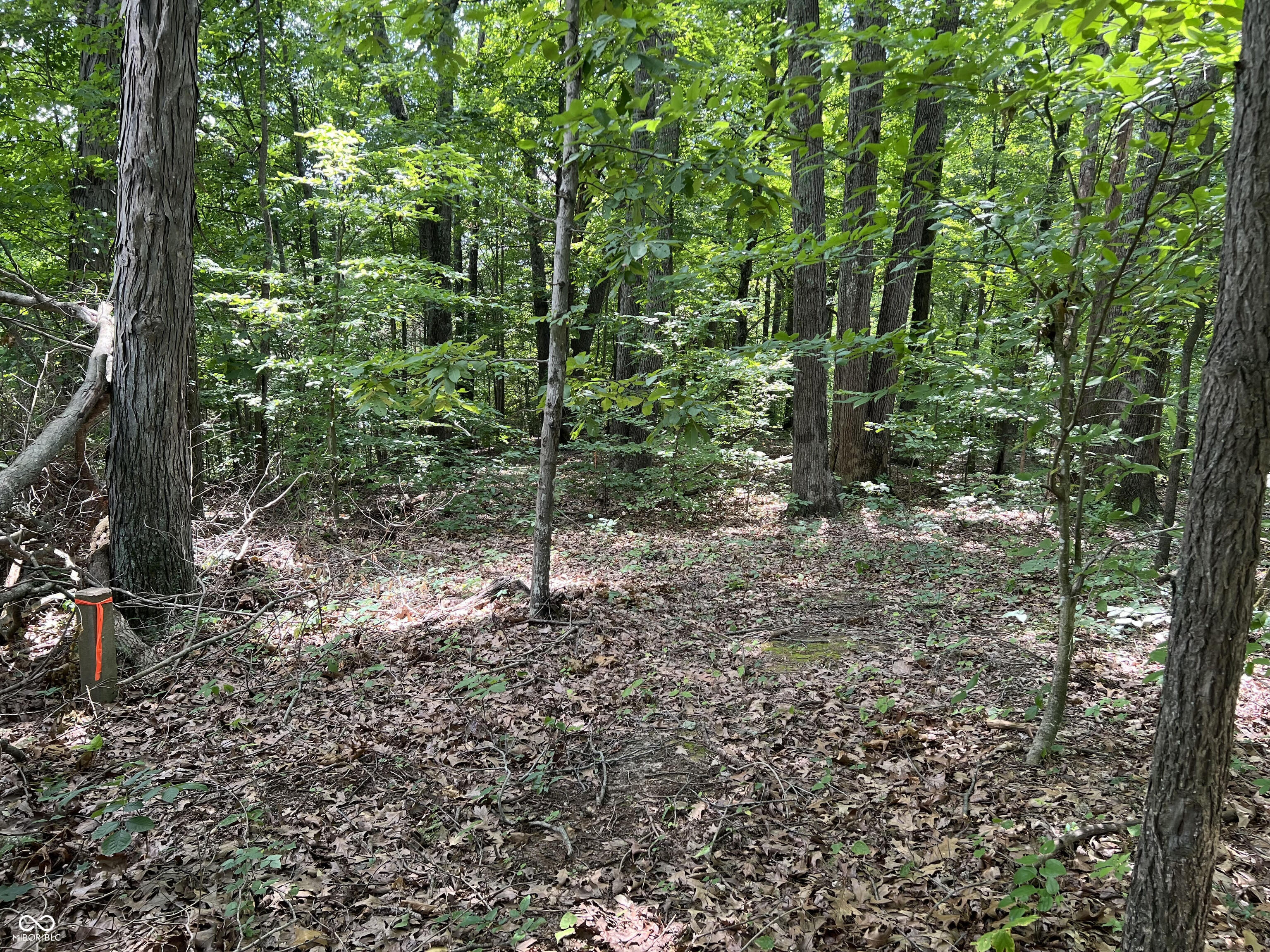 3501 Swartz Ridge Road Bloomington, IN 47401 - Photo 2 of 7 Gallery Image 2