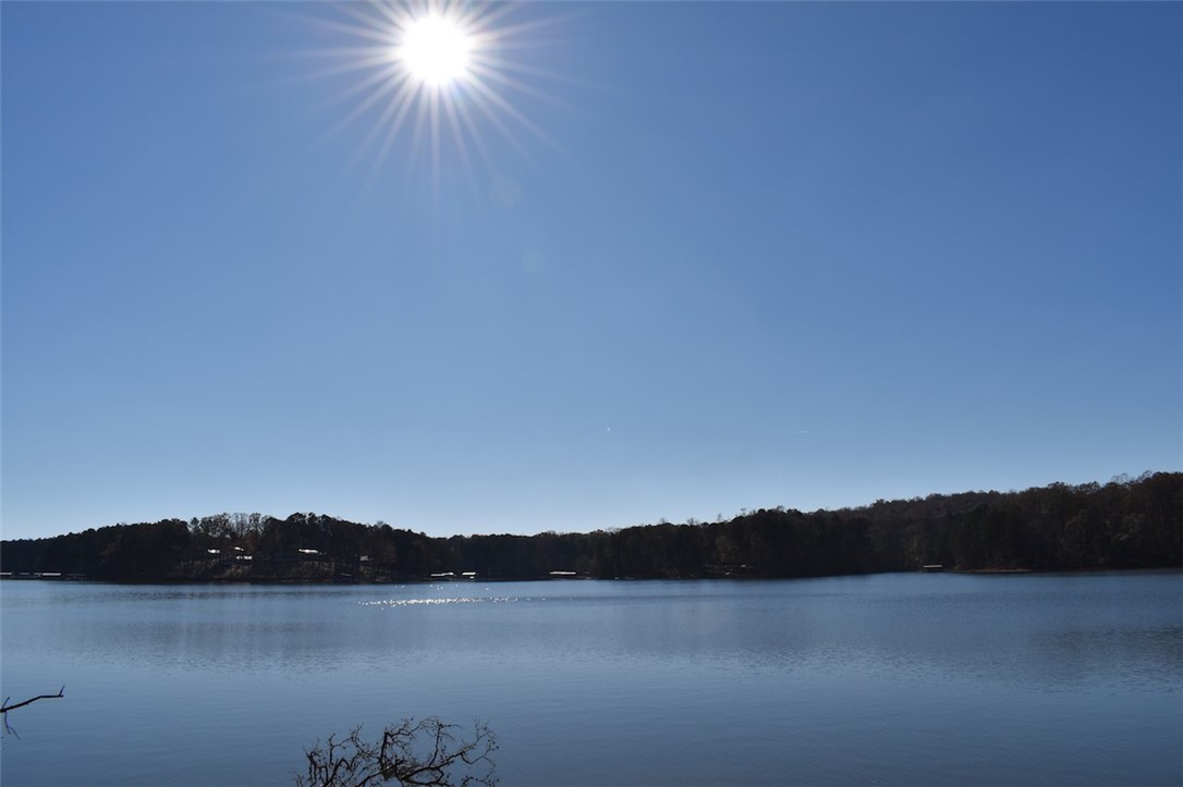 417 Blue Ridge Court, Unit LOT 48 Westminster, SC 29693 - Photo 3 of 6 Gallery Image 3