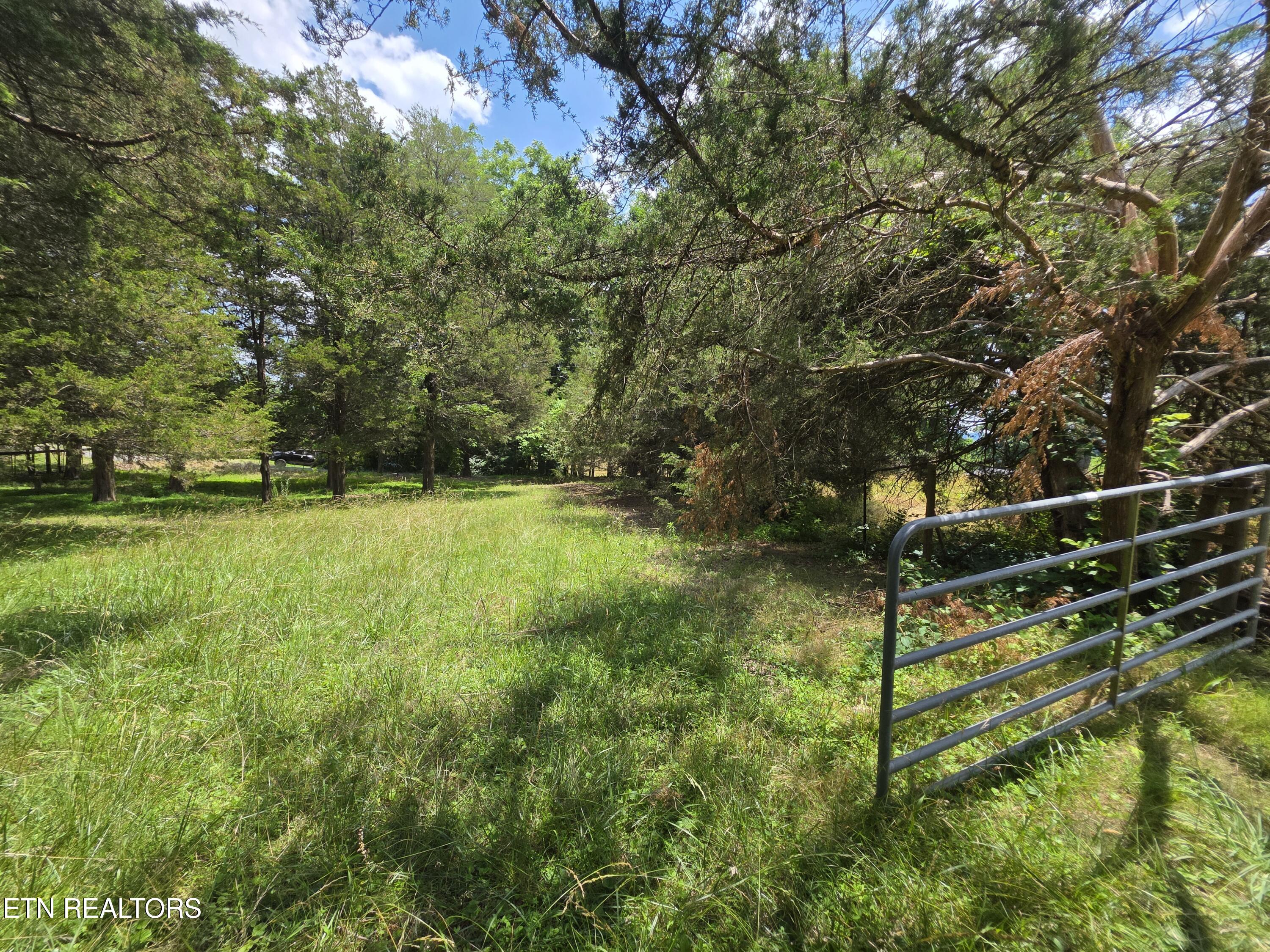 8050 Lett Road Corryton, TN 37721 - Photo 26 of 30 So pretty