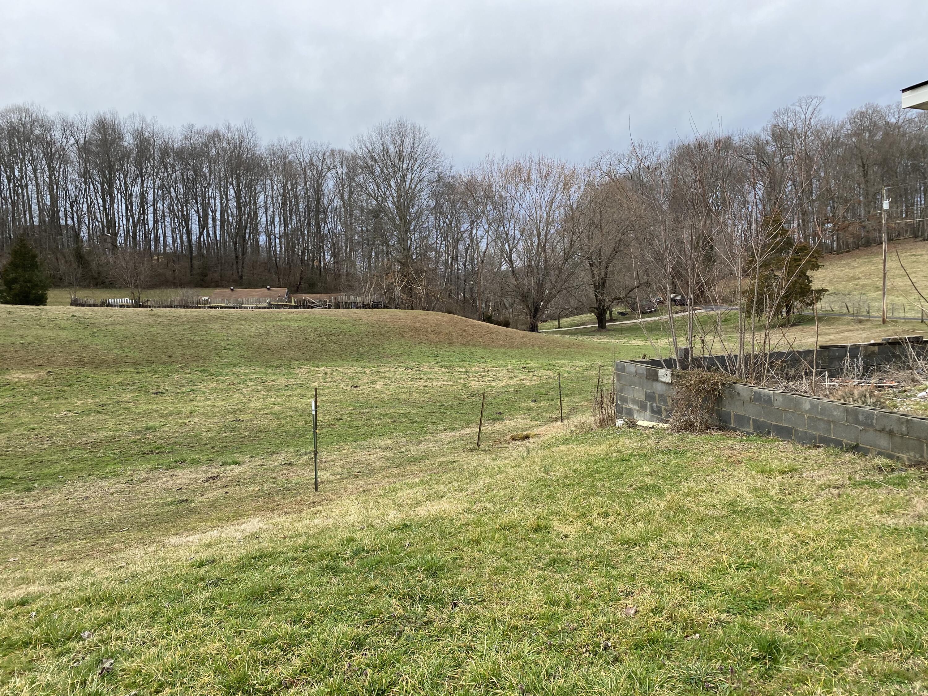 133 Copas Road Kingsport, TN 37663 - Photo 17 of 25 COPAS PASTURE 3