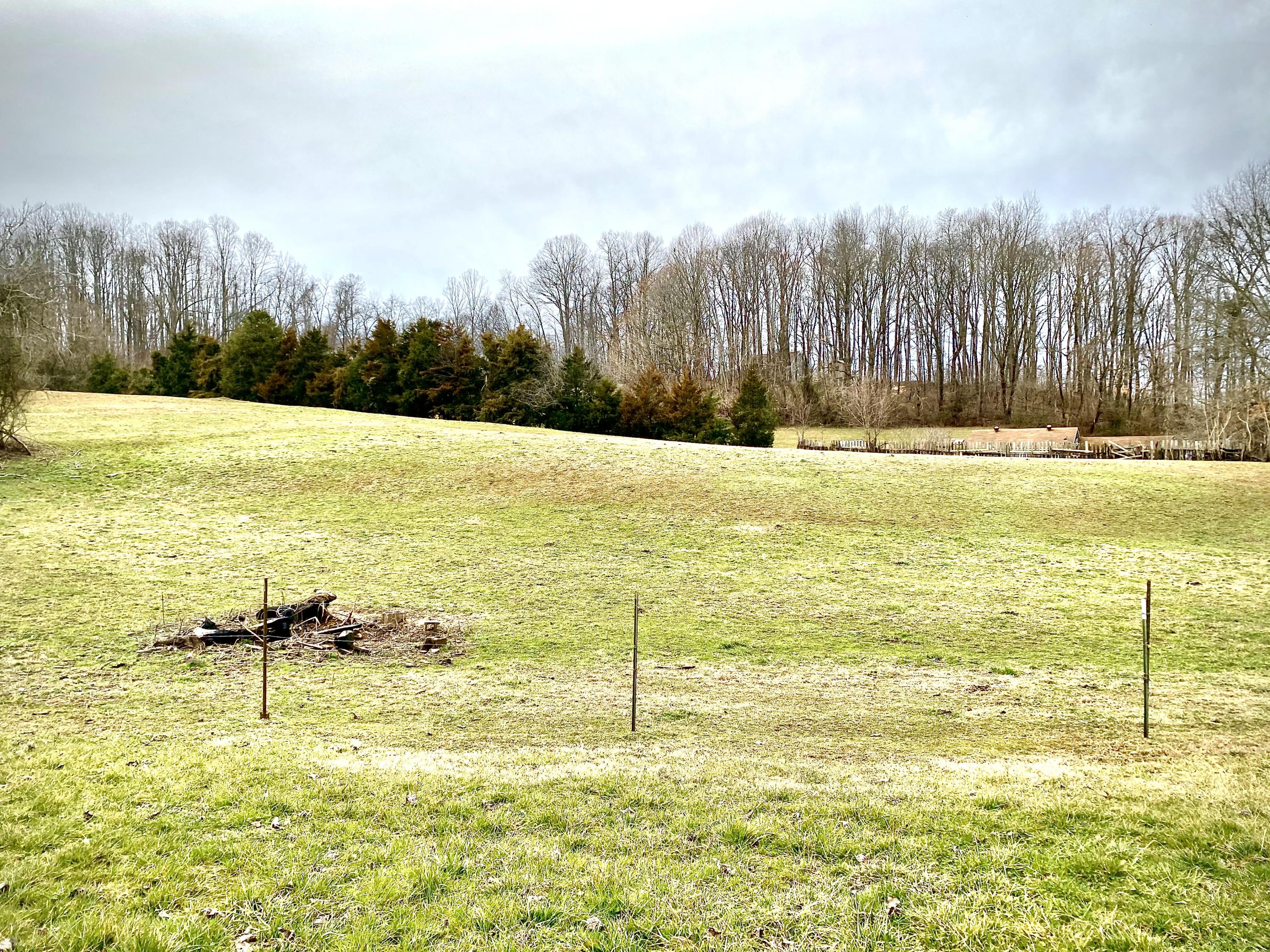 133 Copas Road Kingsport, TN 37663 - Photo 18 of 25 COPAS PASTURE 2
