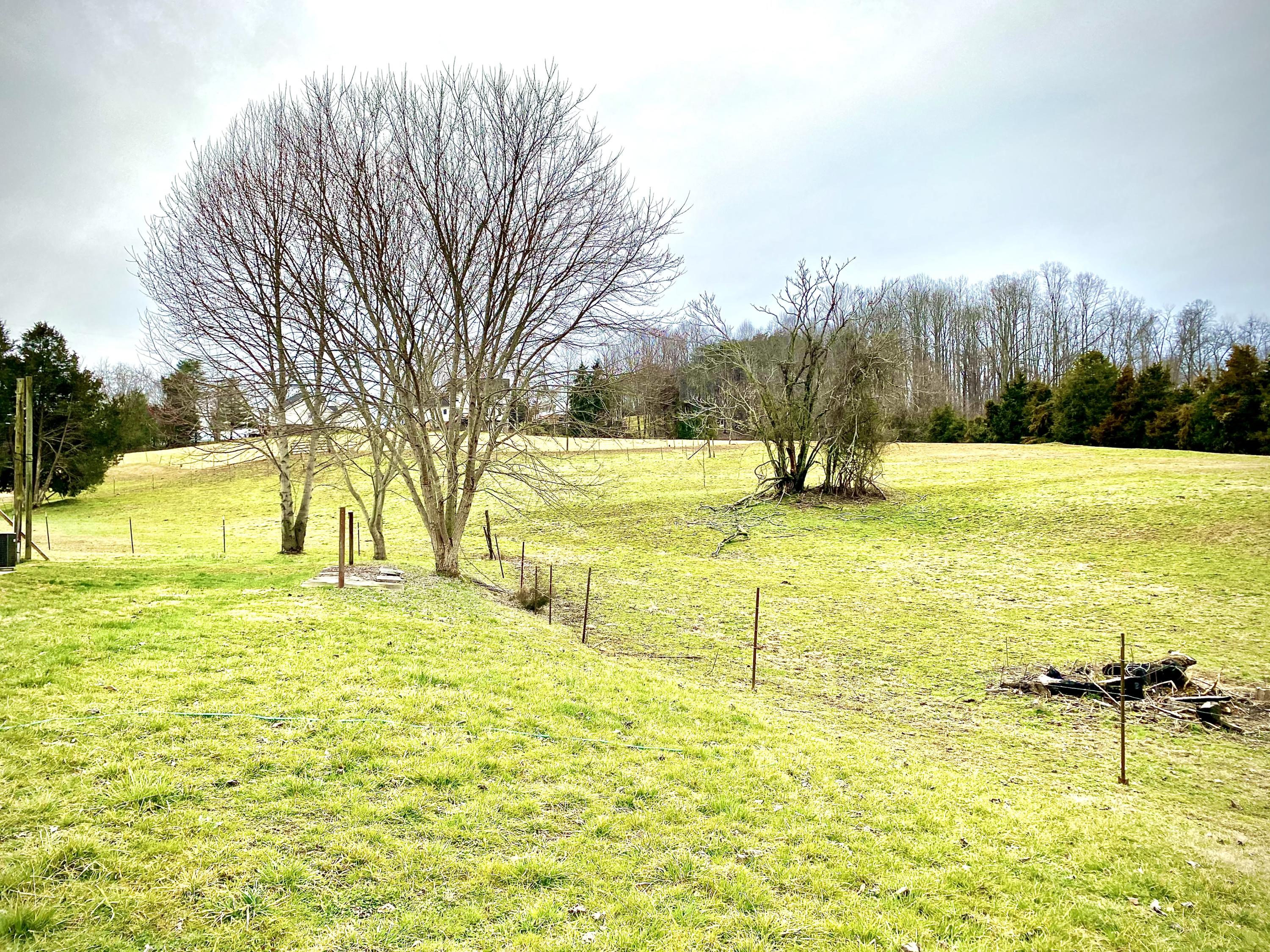 133 Copas Road Kingsport, TN 37663 - Photo 19 of 25 COPAS PASTURE