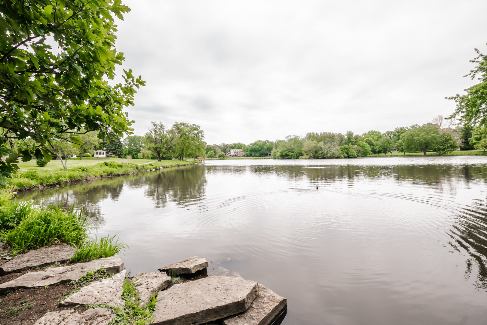9S771 Brookbank Road Willowbrook, IL 60527 - Photo 4 of 36