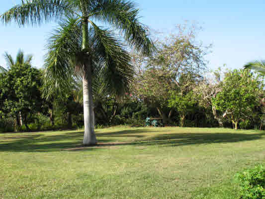 83-5594 Middle Keei Road Captain Cook, HI 96704 - Photo 17 of 24 Gallery Image 17