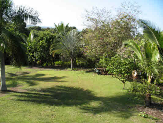 83-5594 Middle Keei Road Captain Cook, HI 96704 - Photo 2 of 24 Gallery Image 2