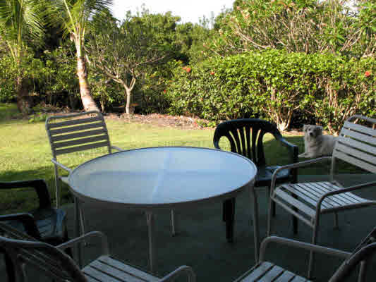 83-5594 Middle Keei Road Captain Cook, HI 96704 - Photo 22 of 24 Gallery Image 22