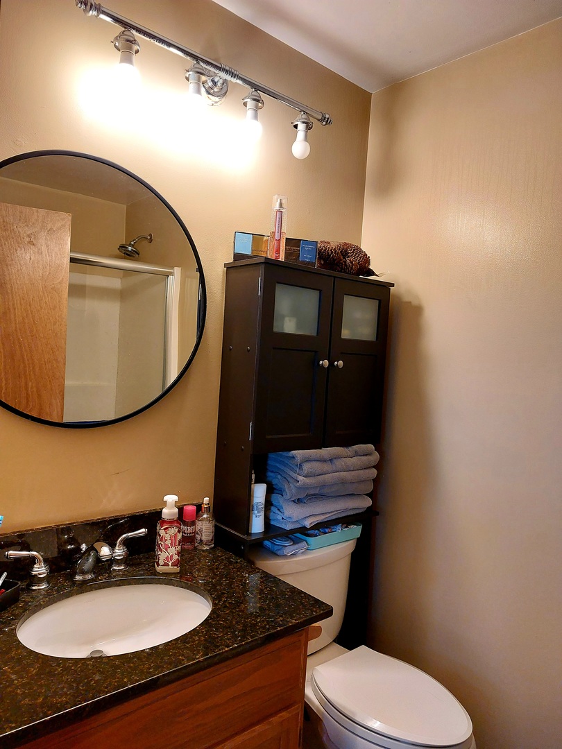 44-w046 Rohrsen Road Hampshire, IL 60140 - Photo 21 of 34 a bathroom with a sink mirror and toilet