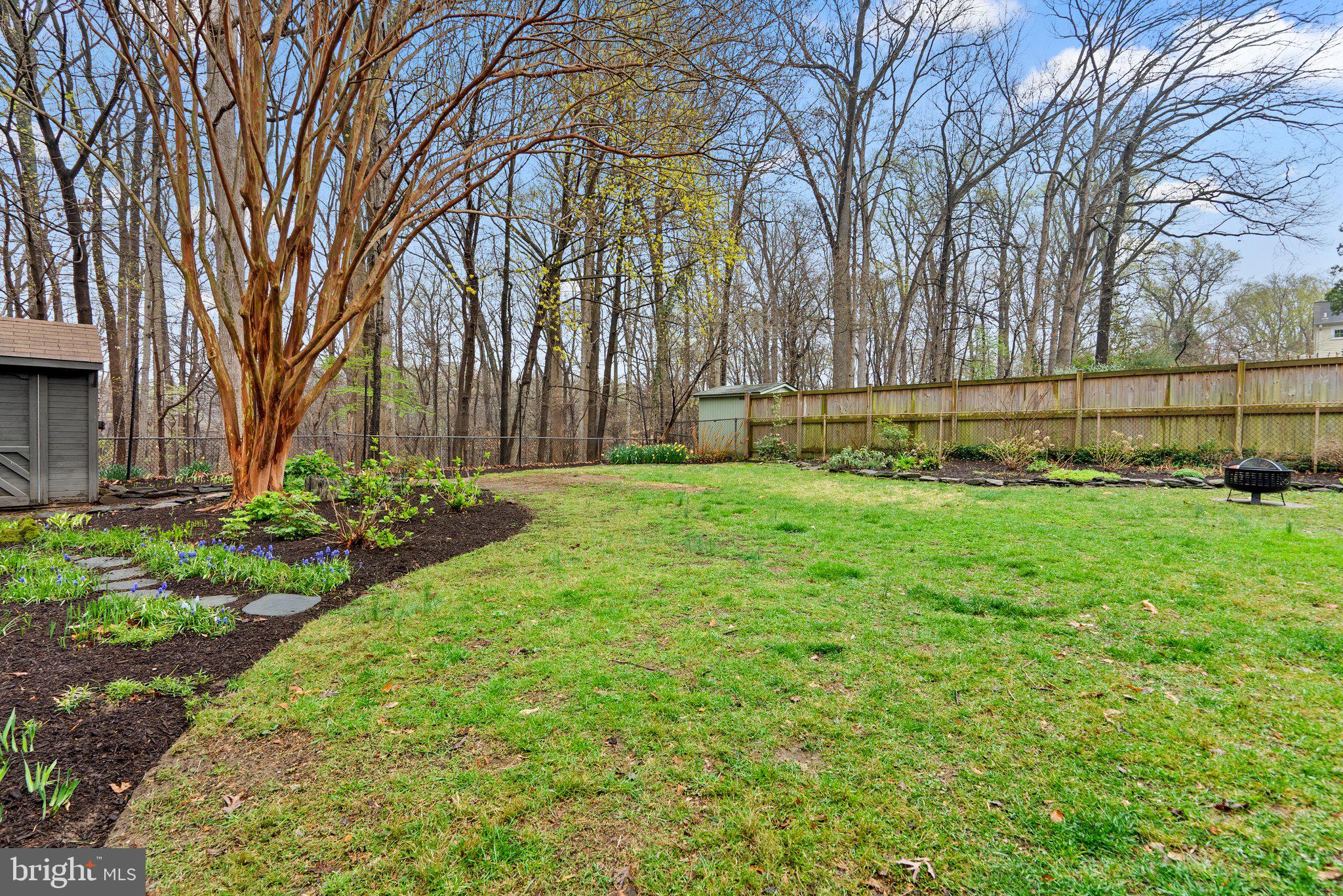 10115 Big Rock Road Silver Spring, MD 20901 - Photo 37 of 43 a view of garden with trees