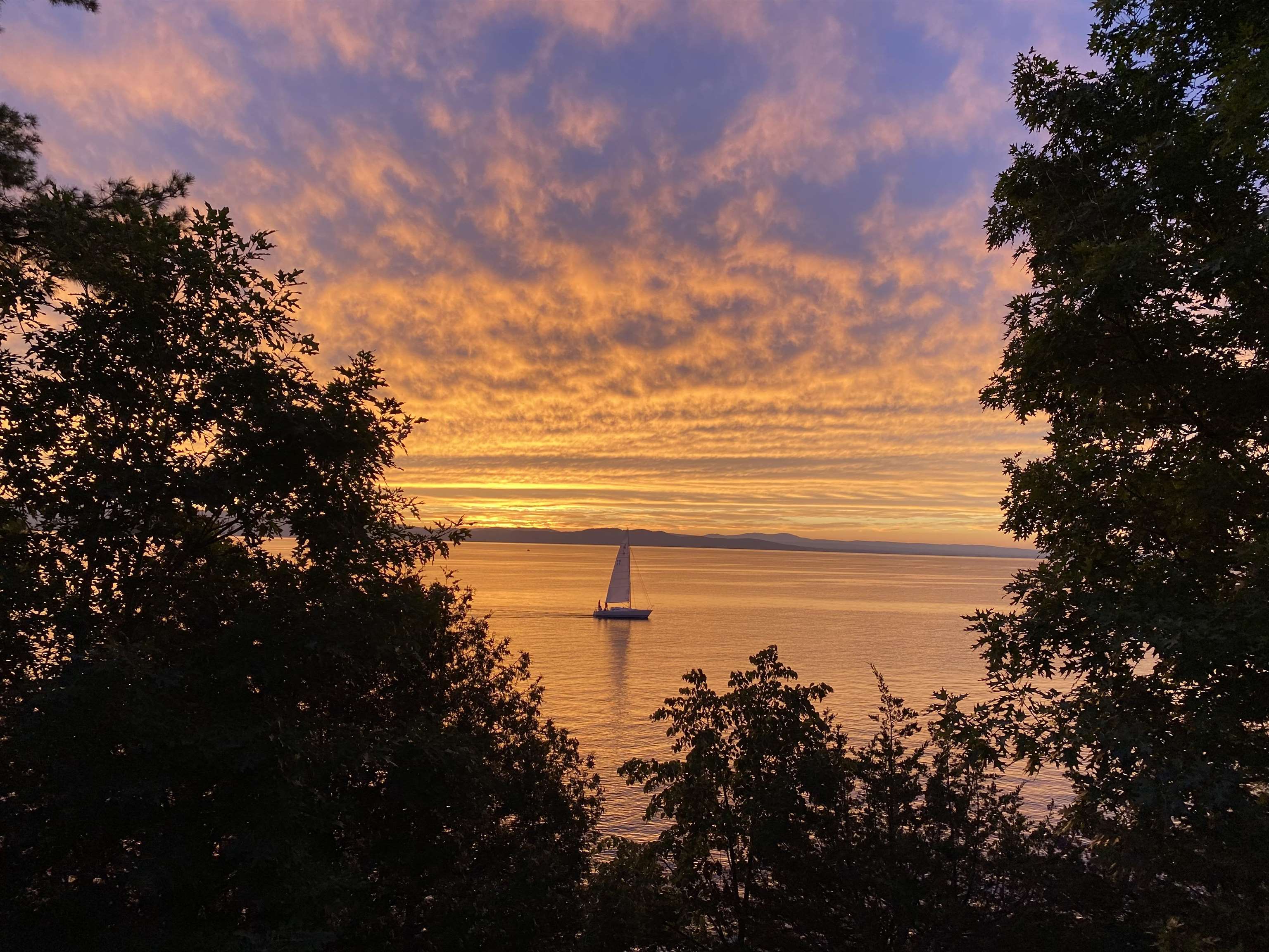 55 Oakledge Drive Burlington, VT 05401 - Photo 38 of 39