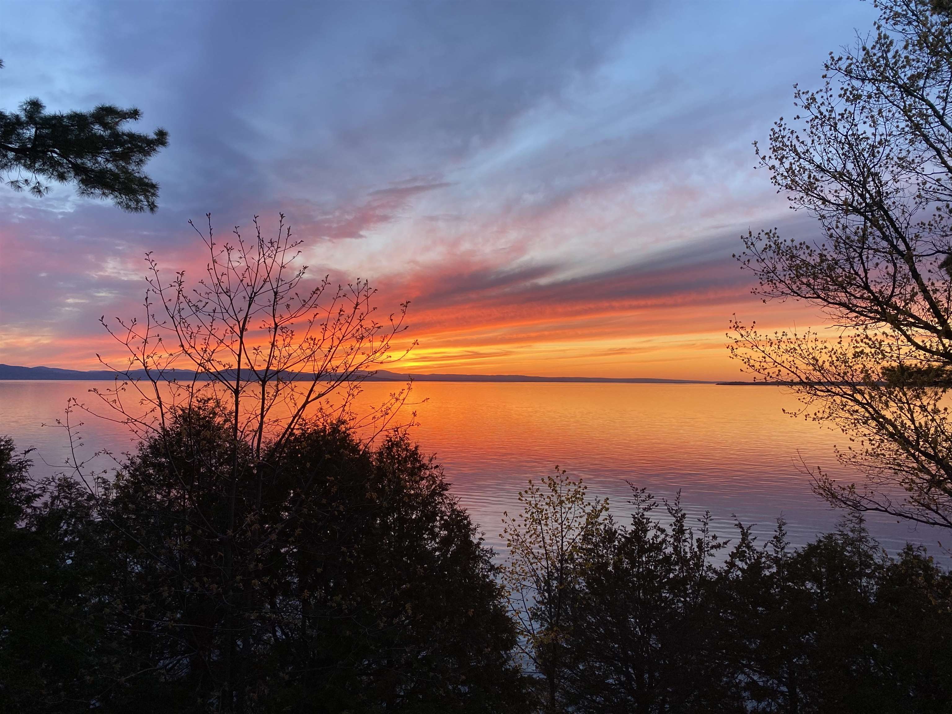 55 Oakledge Drive Burlington, VT 05401 - Photo 39 of 39