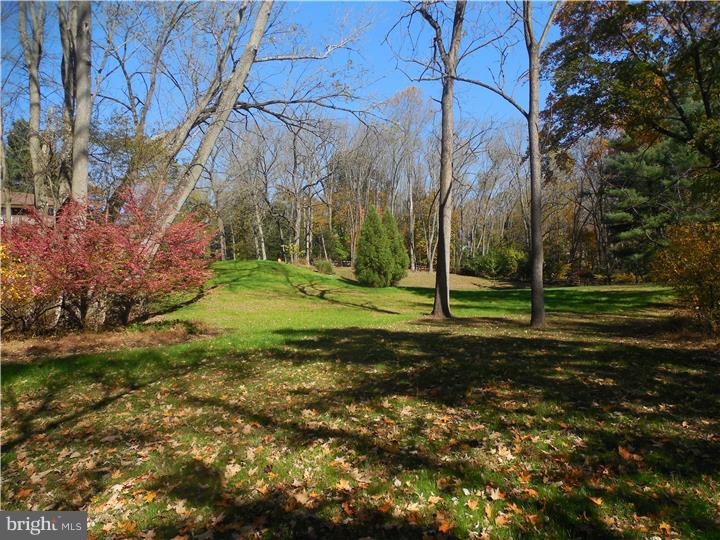 383 Spring Mill Road Chadds Ford, PA 19317 - Photo 22 of 23 Side Yard