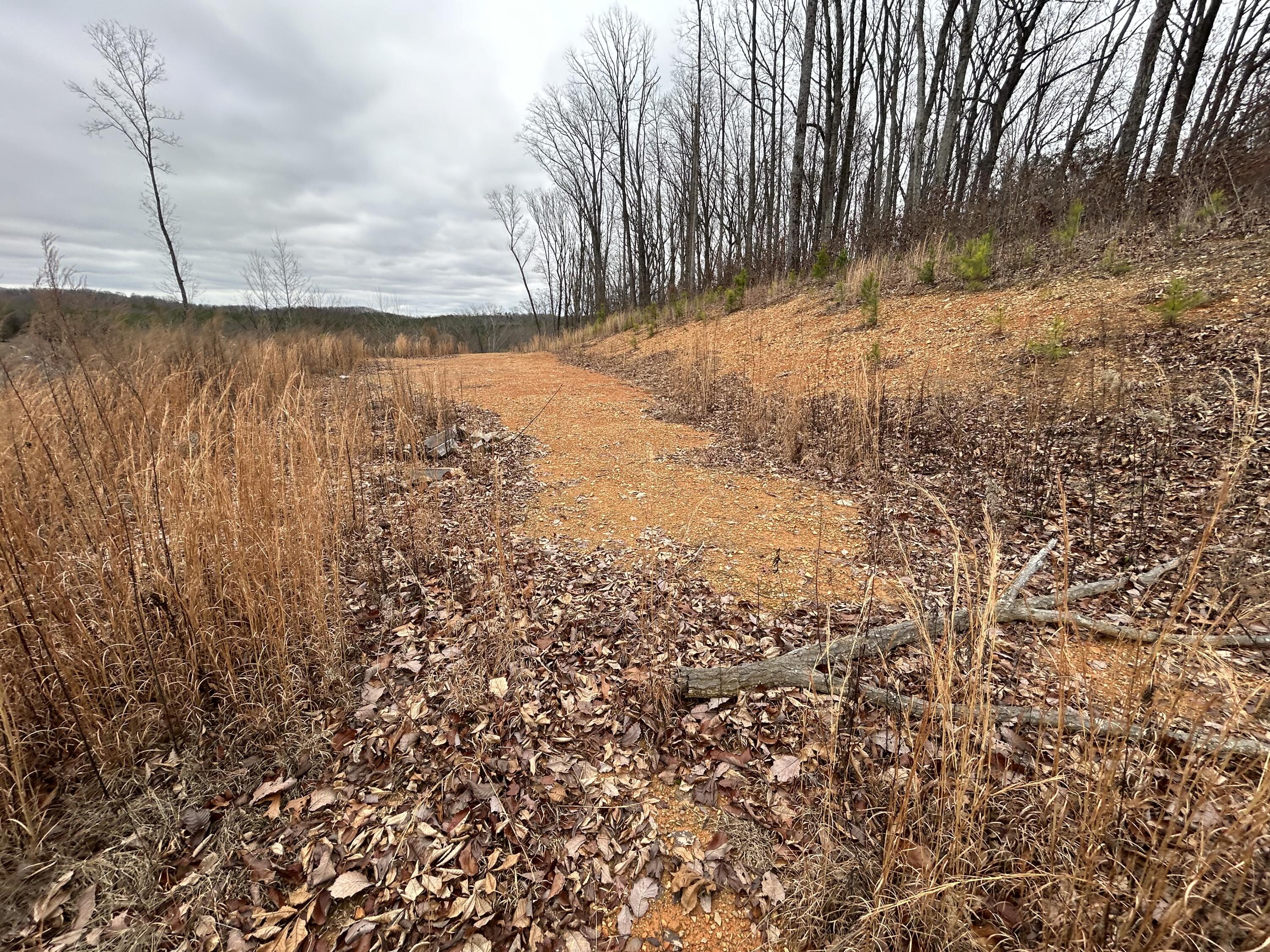 1302 East Emerson Road Cohutta, GA 30710 - Photo 14 of 19 IMG_1105