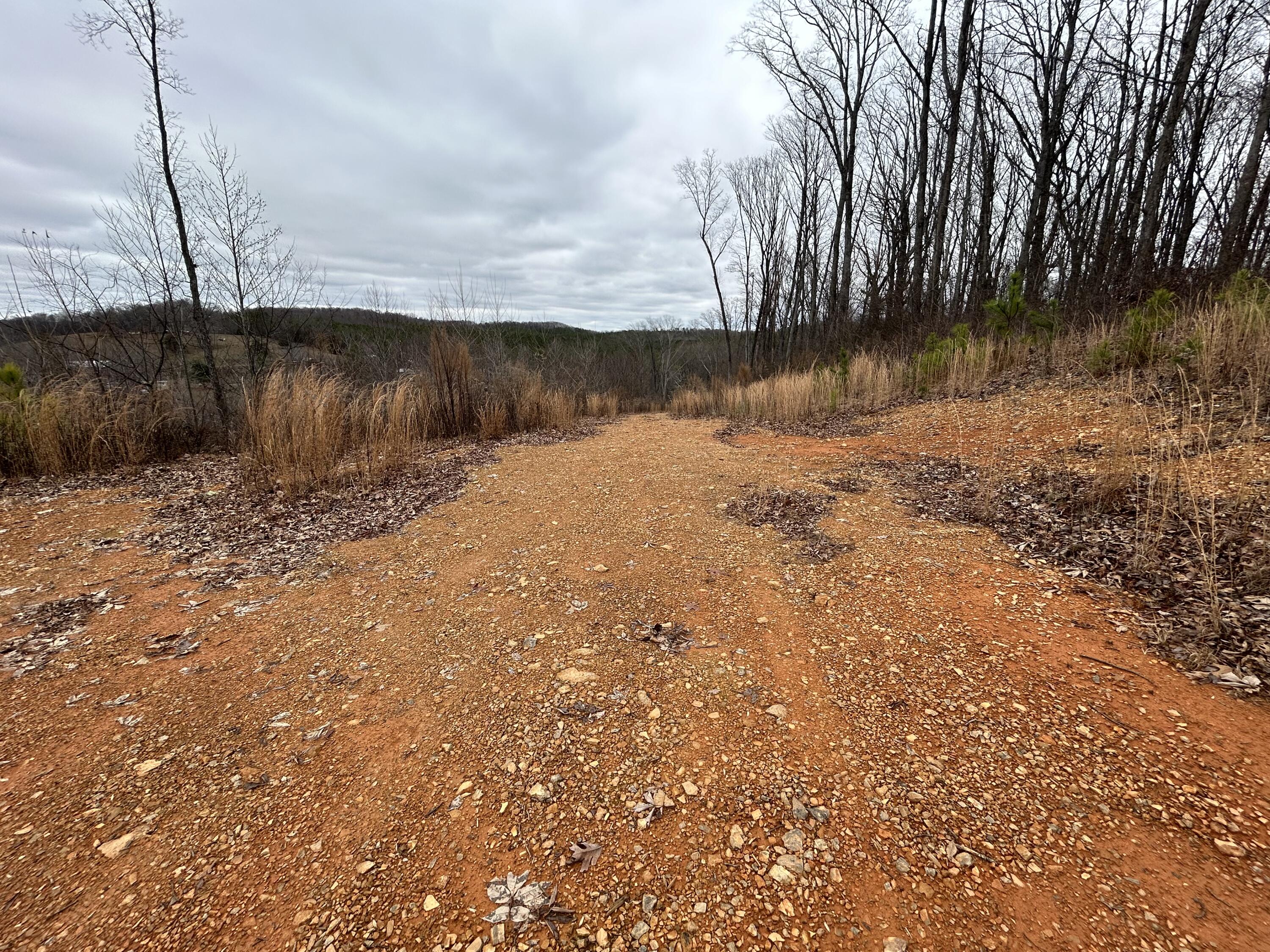 1302 East Emerson Road Cohutta, GA 30710 - Photo 15 of 19 IMG_1107