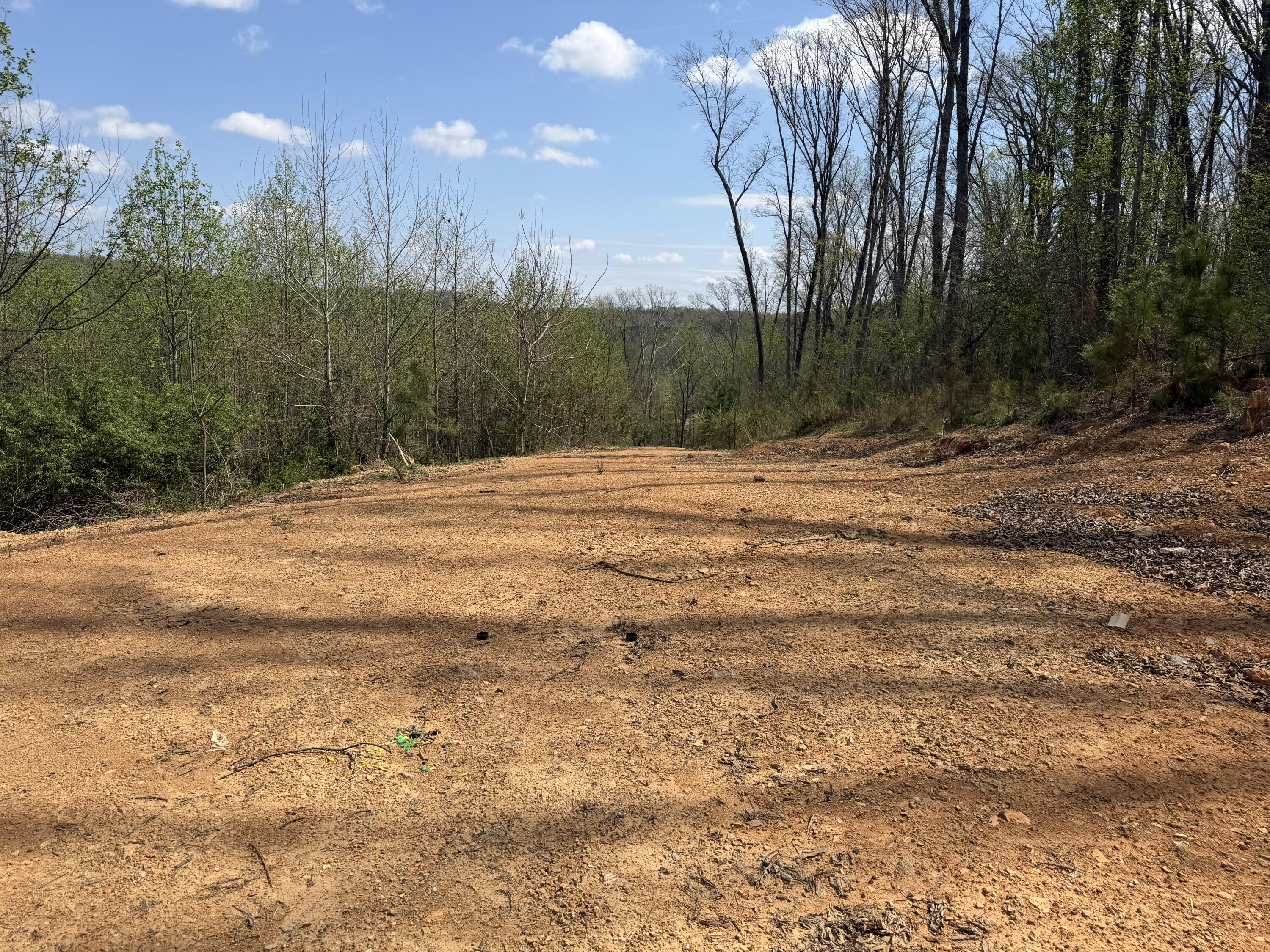 1302 East Emerson Road Cohutta, GA 30710 - Photo 17 of 19 IMG_5085