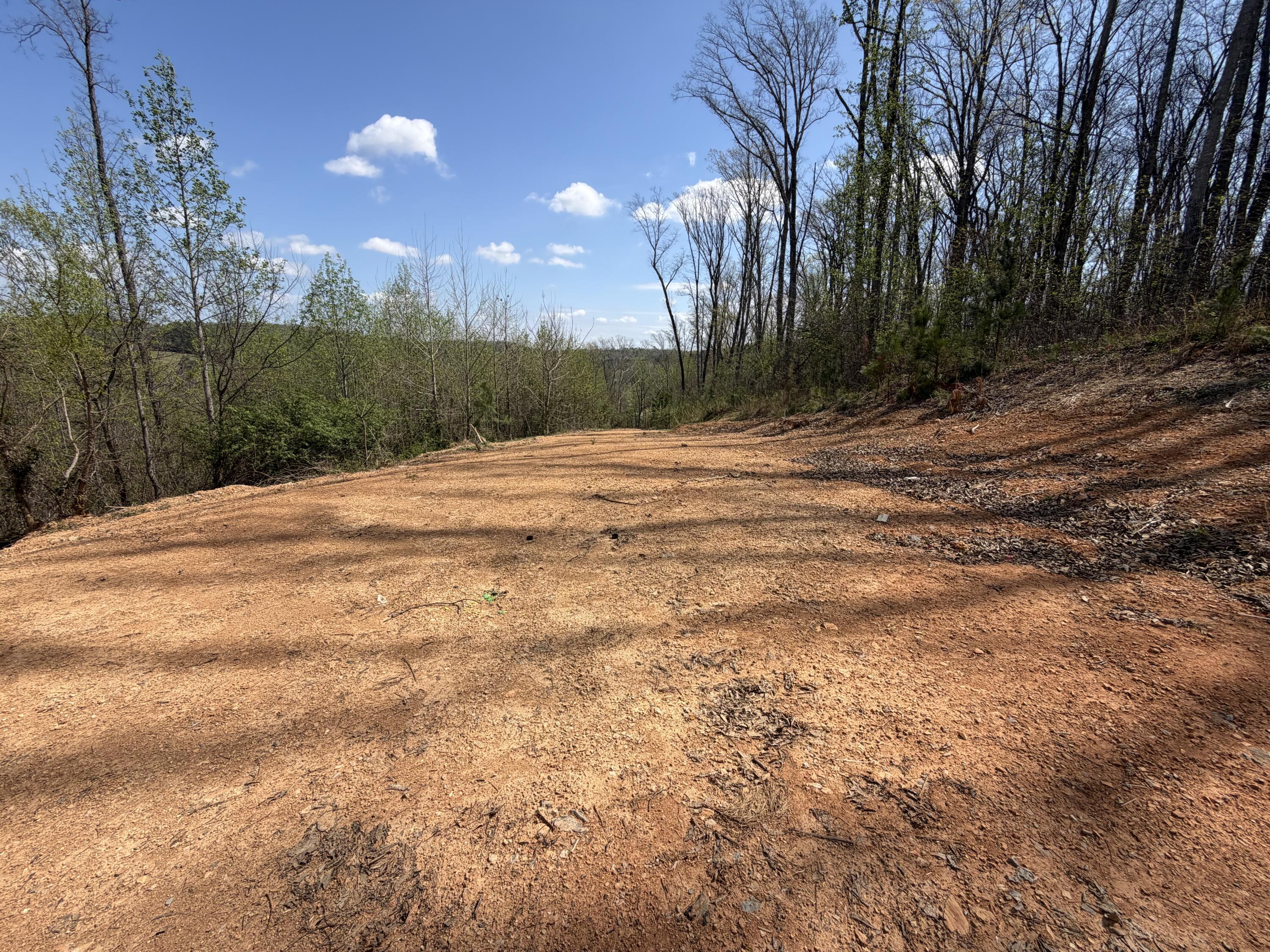 1302 East Emerson Road Cohutta, GA 30710 - Photo 18 of 19 IMG_5086