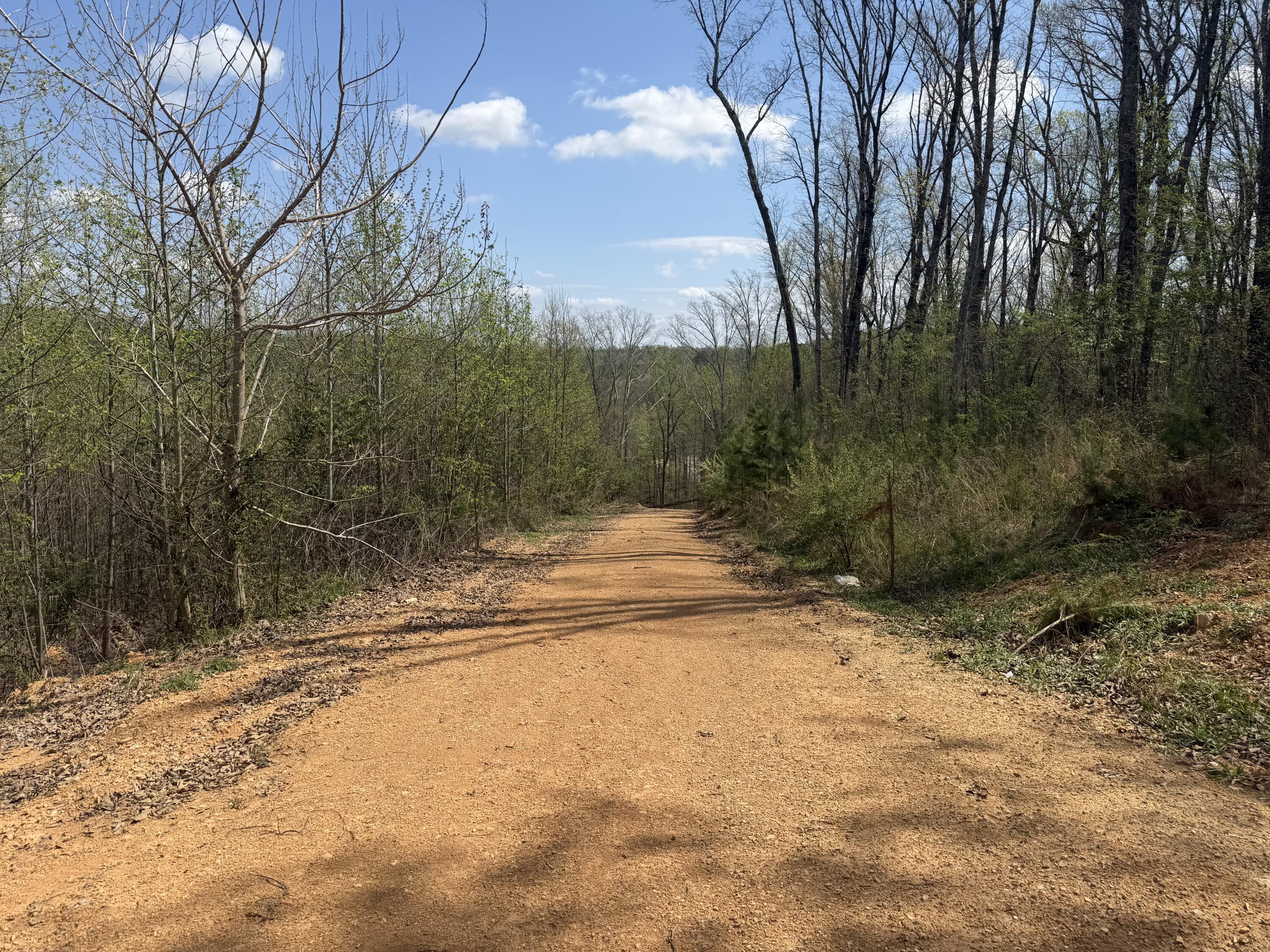 1302 East Emerson Road Cohutta, GA 30710 - Photo 19 of 19 IMG_5089