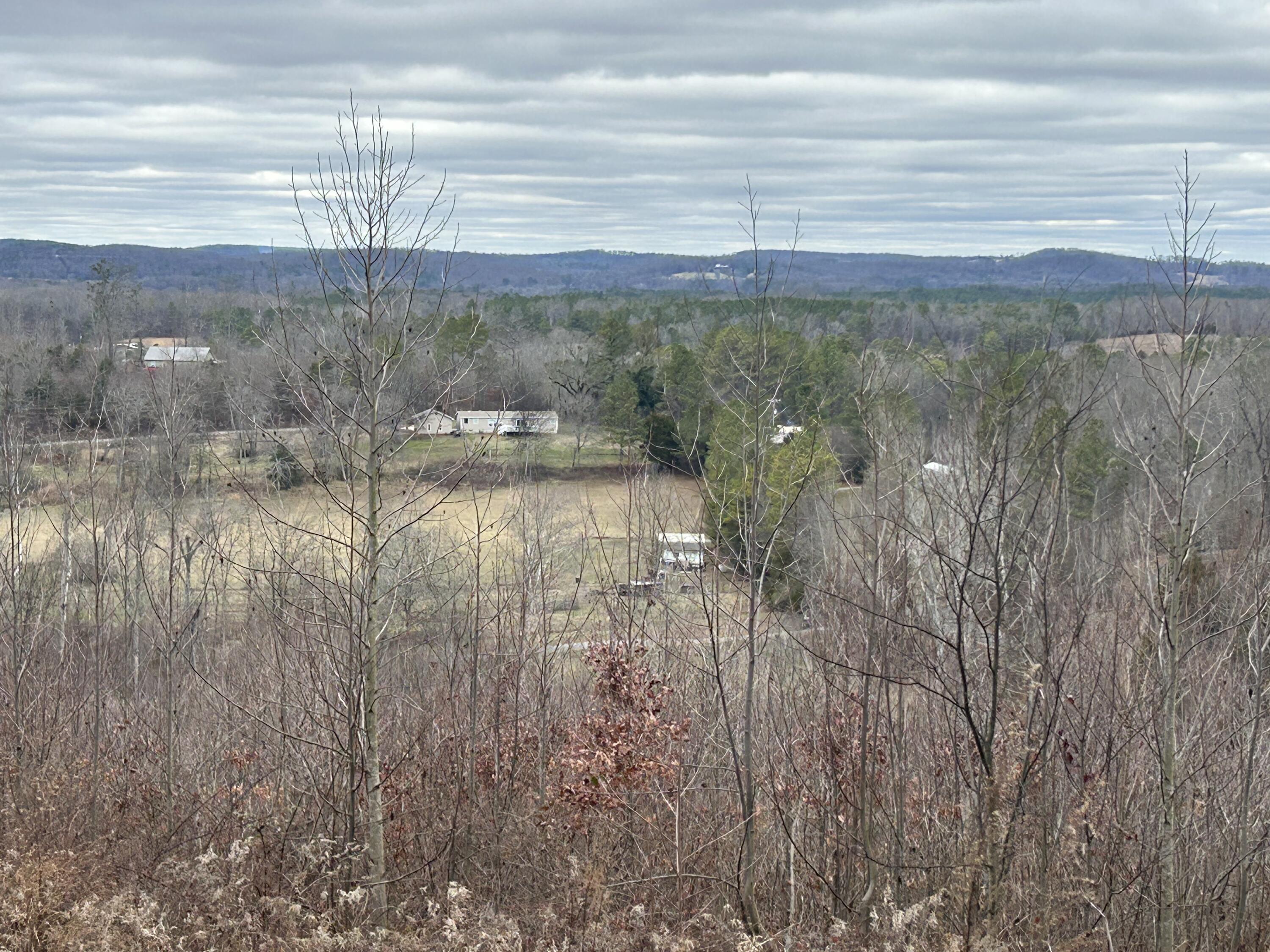 1302 East Emerson Road Cohutta, GA 30710 - Photo 8 of 19 IMG_1101